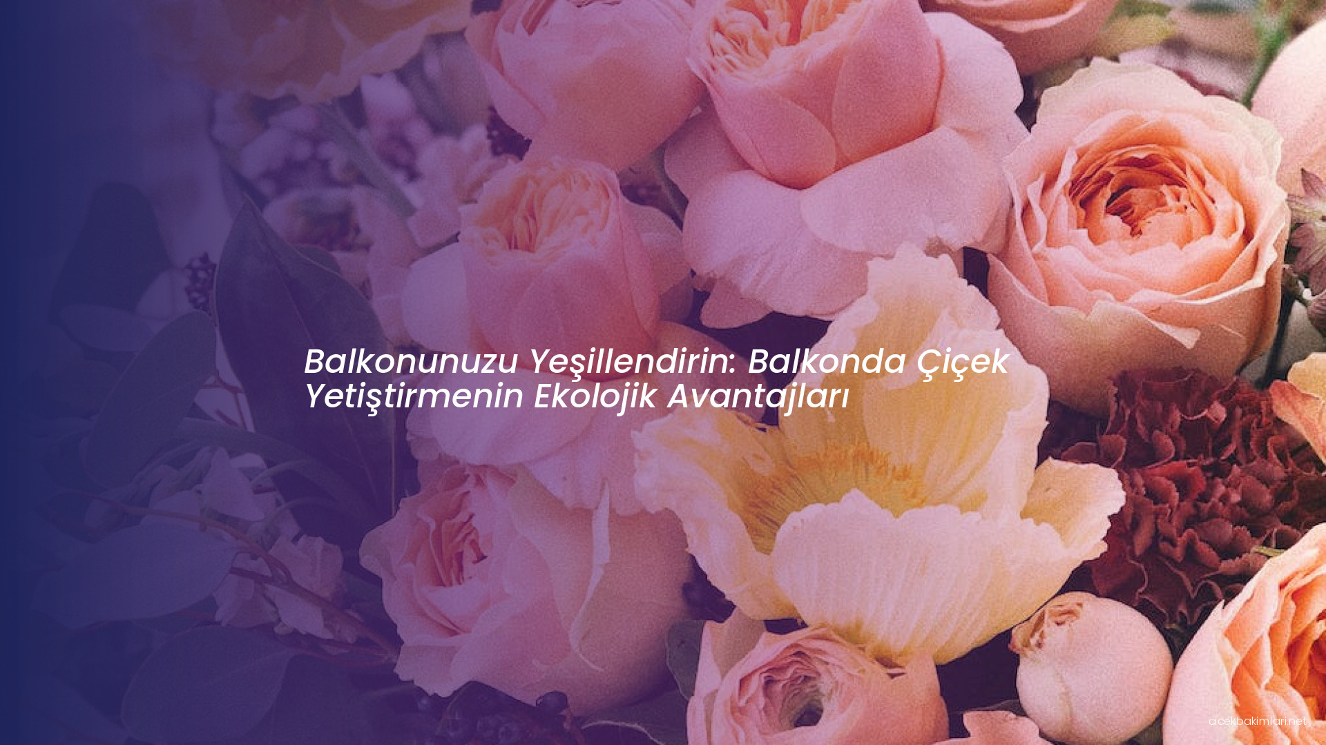 Balkonunuzu Yeşillendirin: Balkonda Çiçek Yetiştirmenin Ekolojik Avantajları