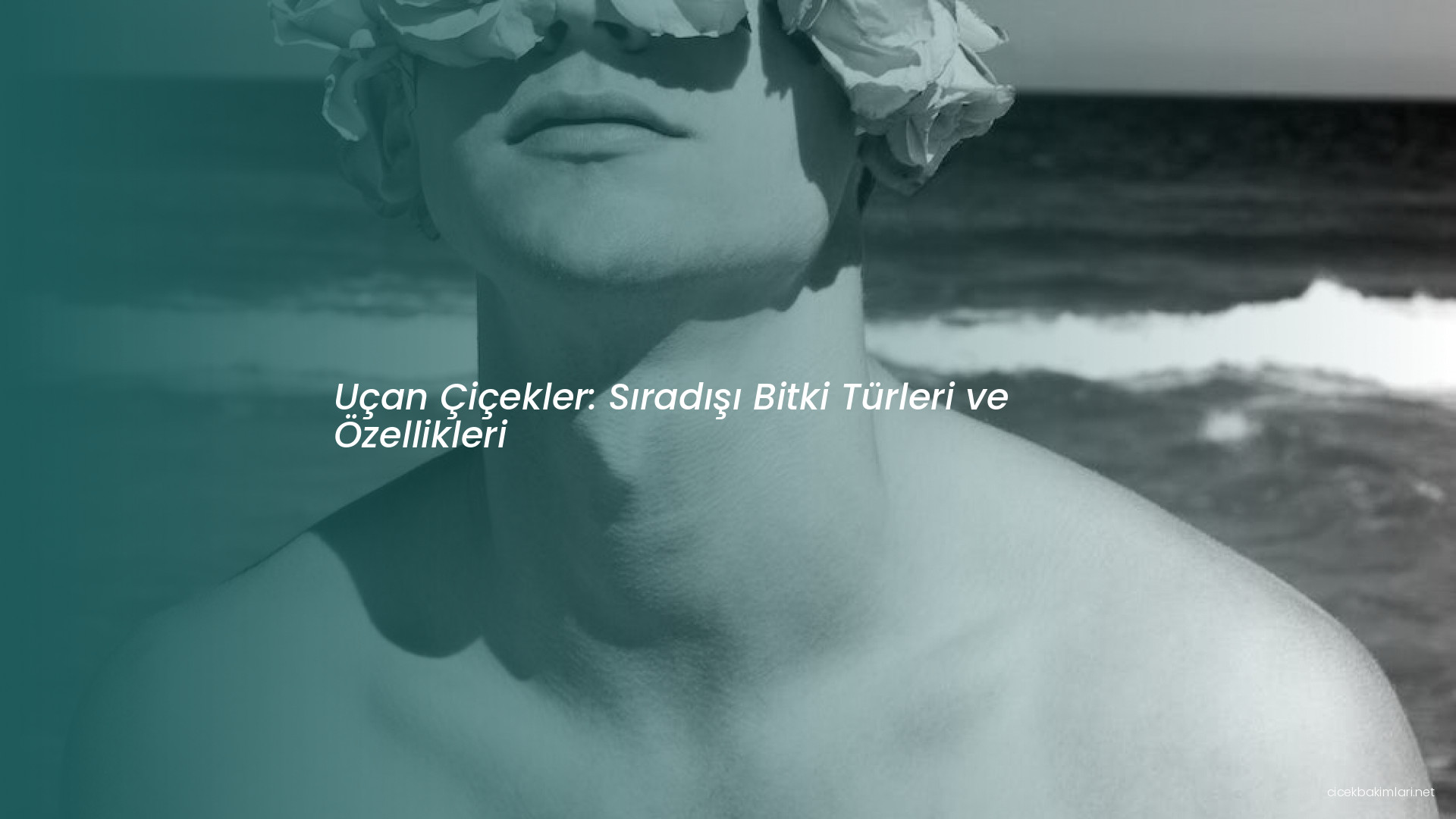 Uçan Çiçekler: Sıradışı Bitki Türleri ve Özellikleri