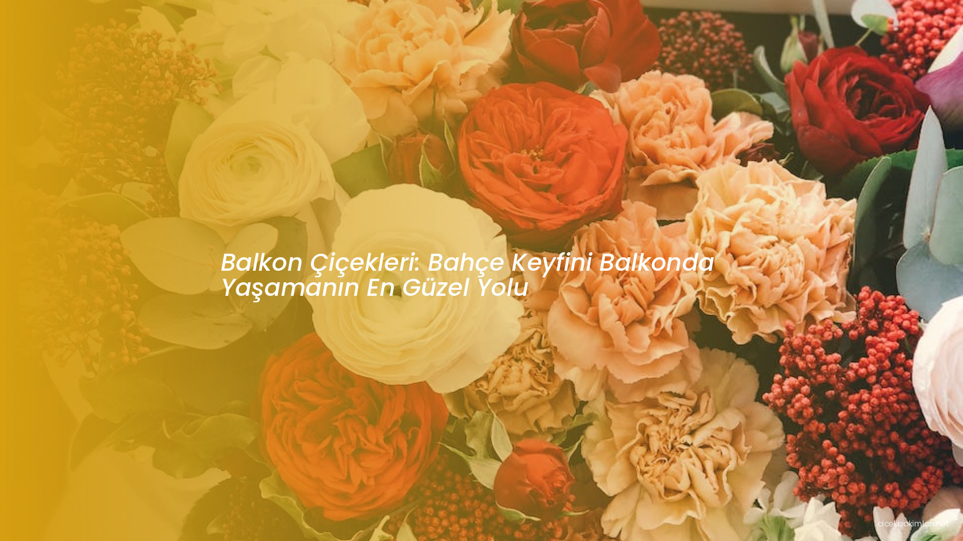 Balkon Çiçekleri: Bahçe Keyfini Balkonda Yaşamanın En Güzel Yolu