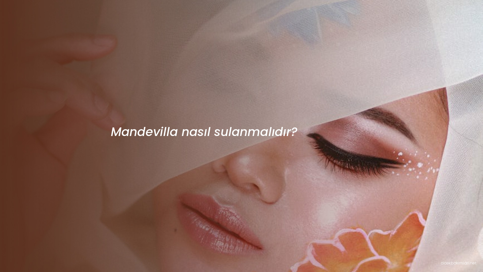 Mandevilla nasıl sulanmalıdır?