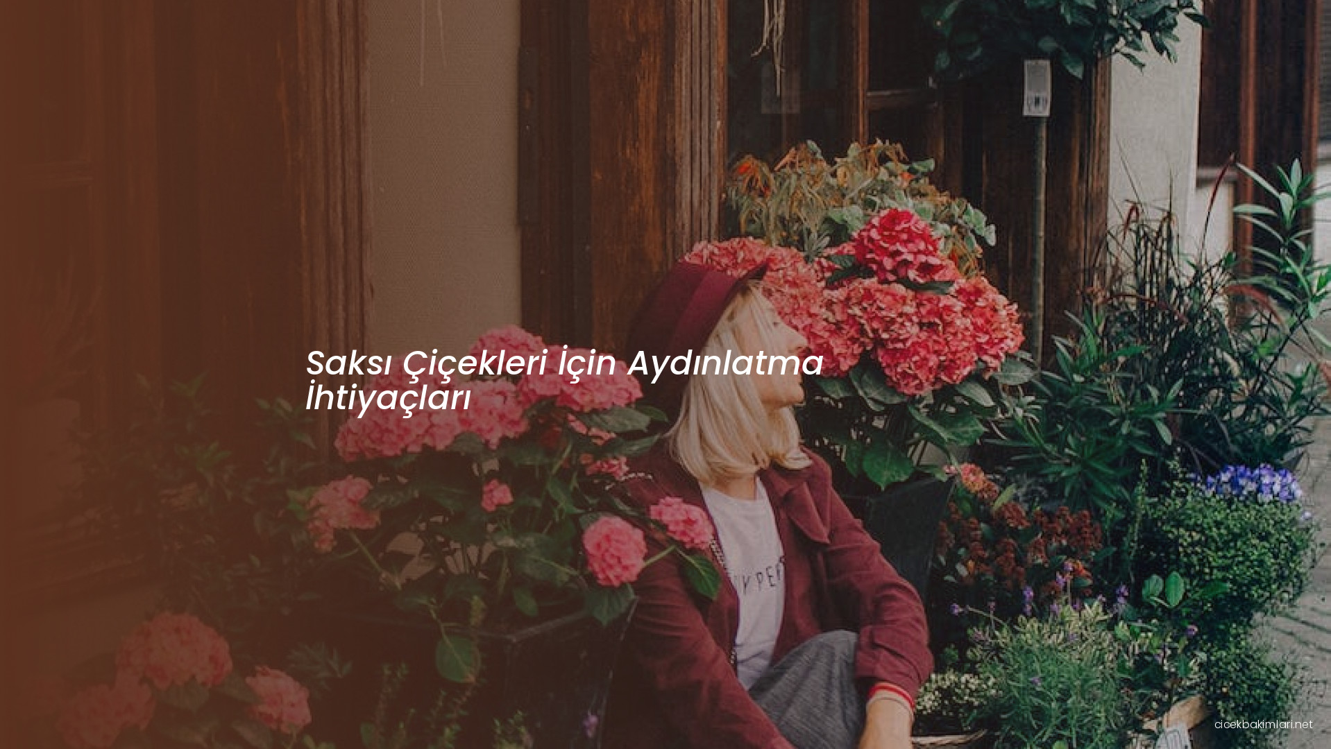 Saksı Çiçekleri İçin Aydınlatma İhtiyaçları