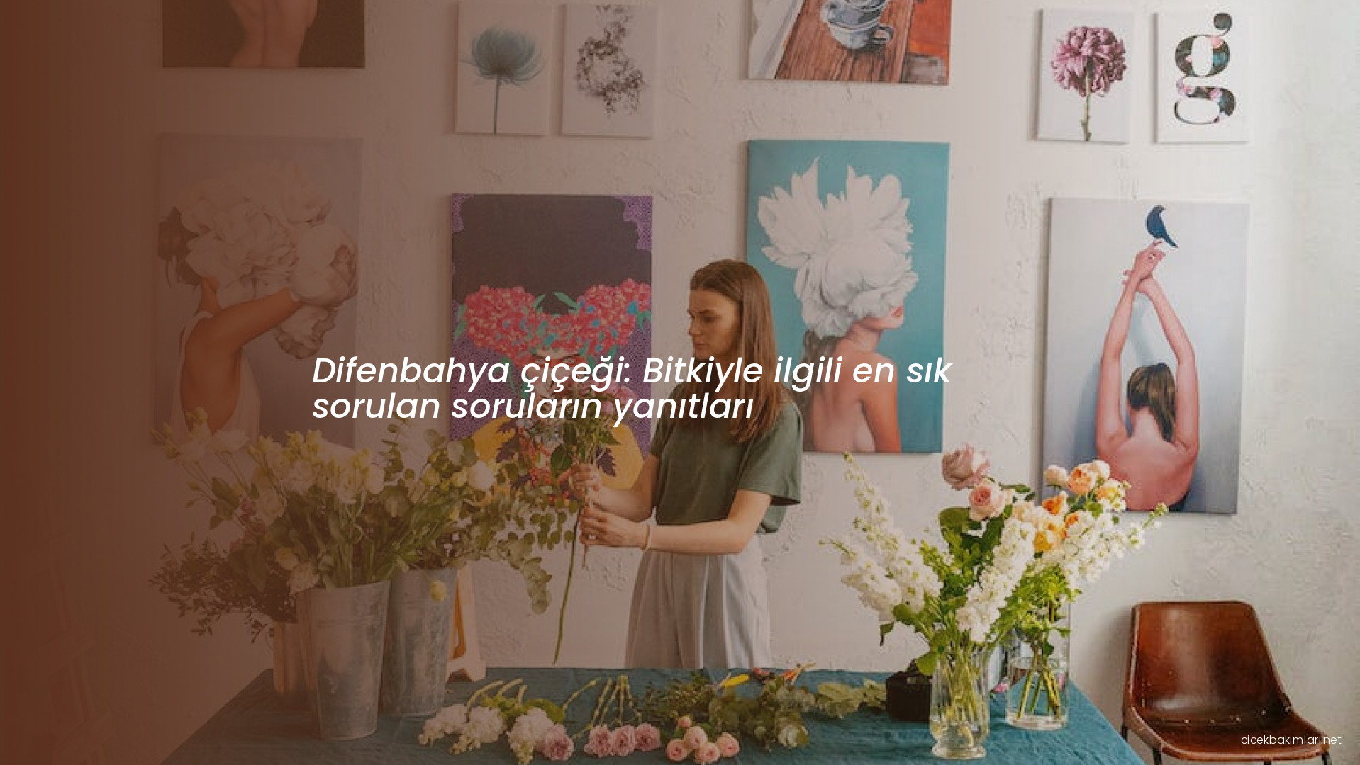 Difenbahya çiçeği: Bitkiyle ilgili en sık sorulan soruların yanıtları