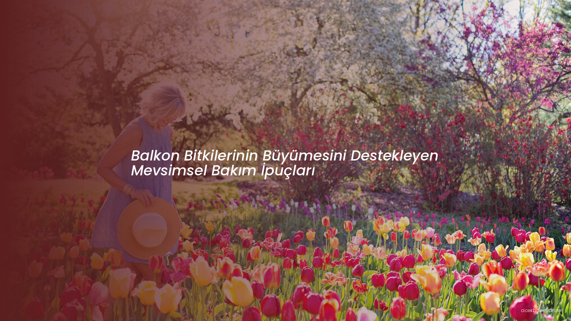 Balkon Bitkilerinin Büyümesini Destekleyen Mevsimsel Bakım İpuçları