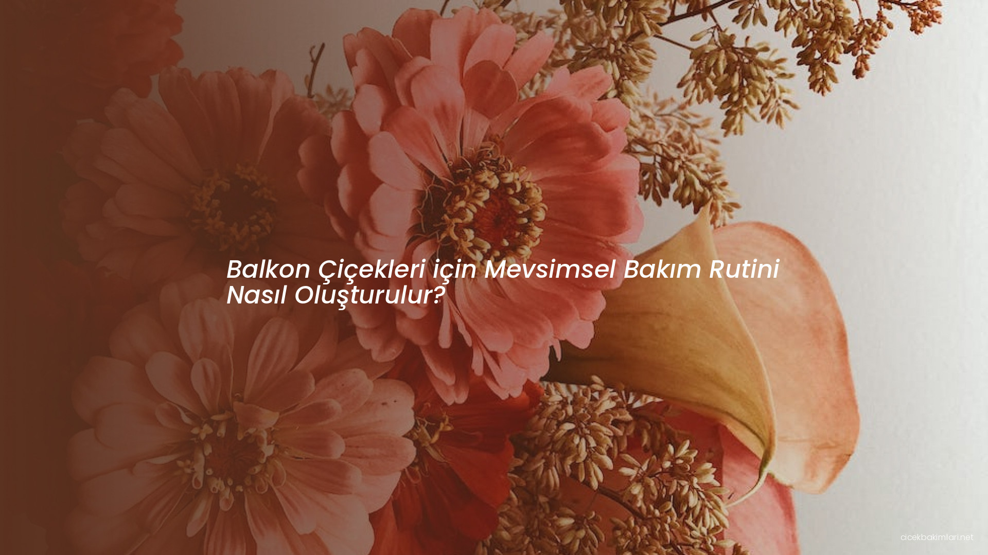 Balkon Çiçekleri için Mevsimsel Bakım Rutini Nasıl Oluşturulur?