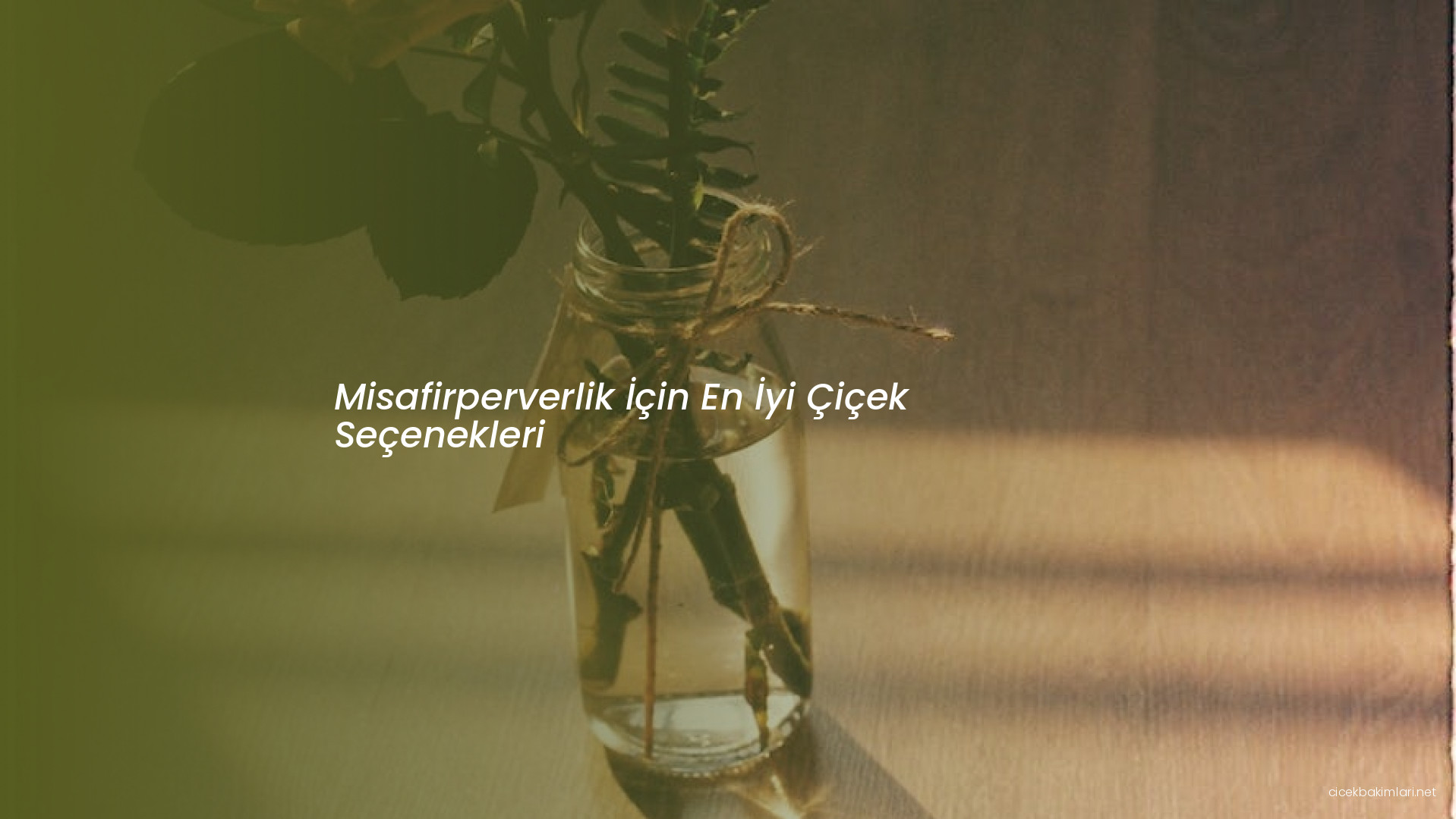 Misafirperverlik İçin En İyi Çiçek Seçenekleri