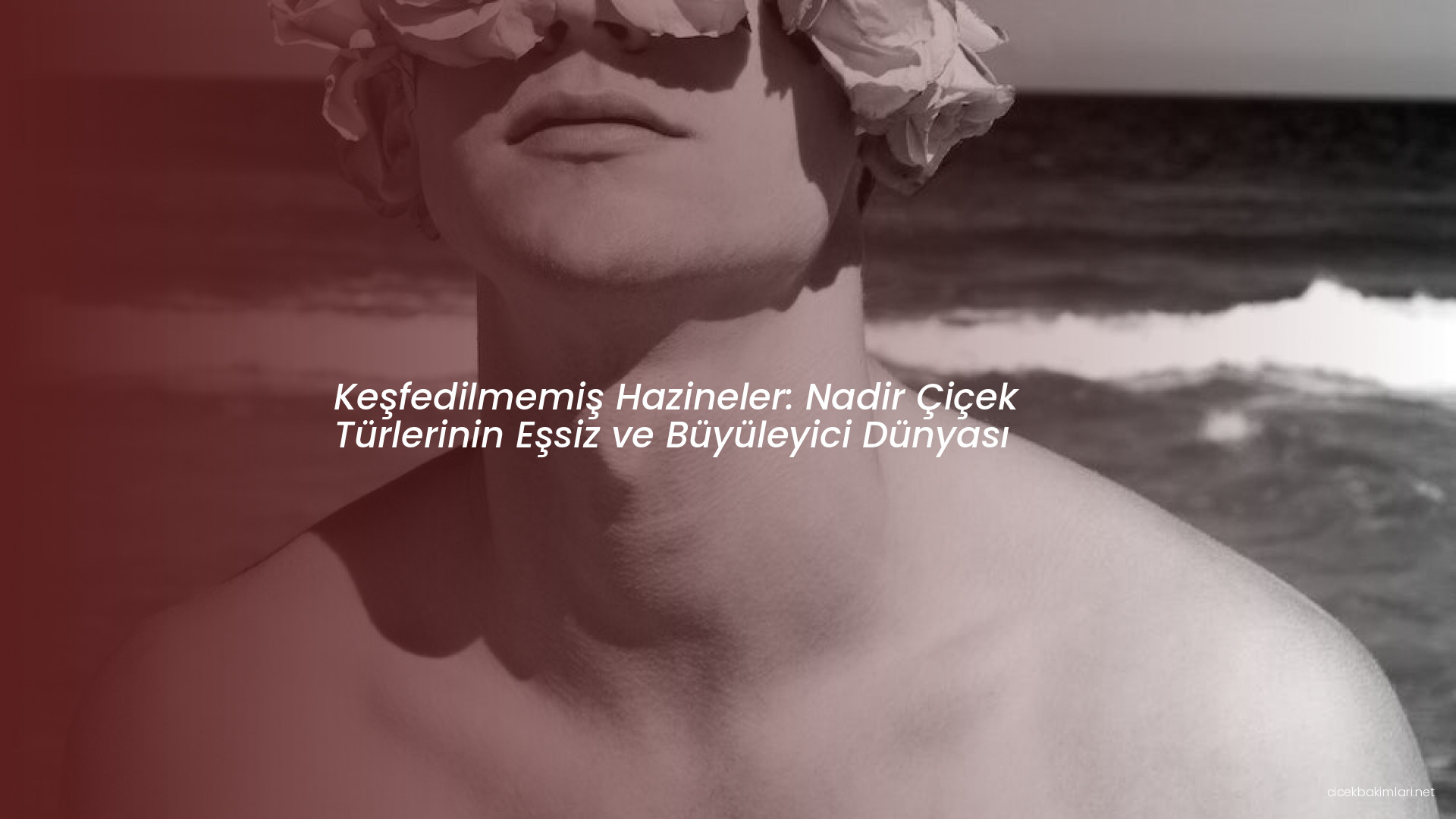 Keşfedilmemiş Hazineler: Nadir Çiçek Türlerinin Eşsiz ve Büyüleyici Dünyası