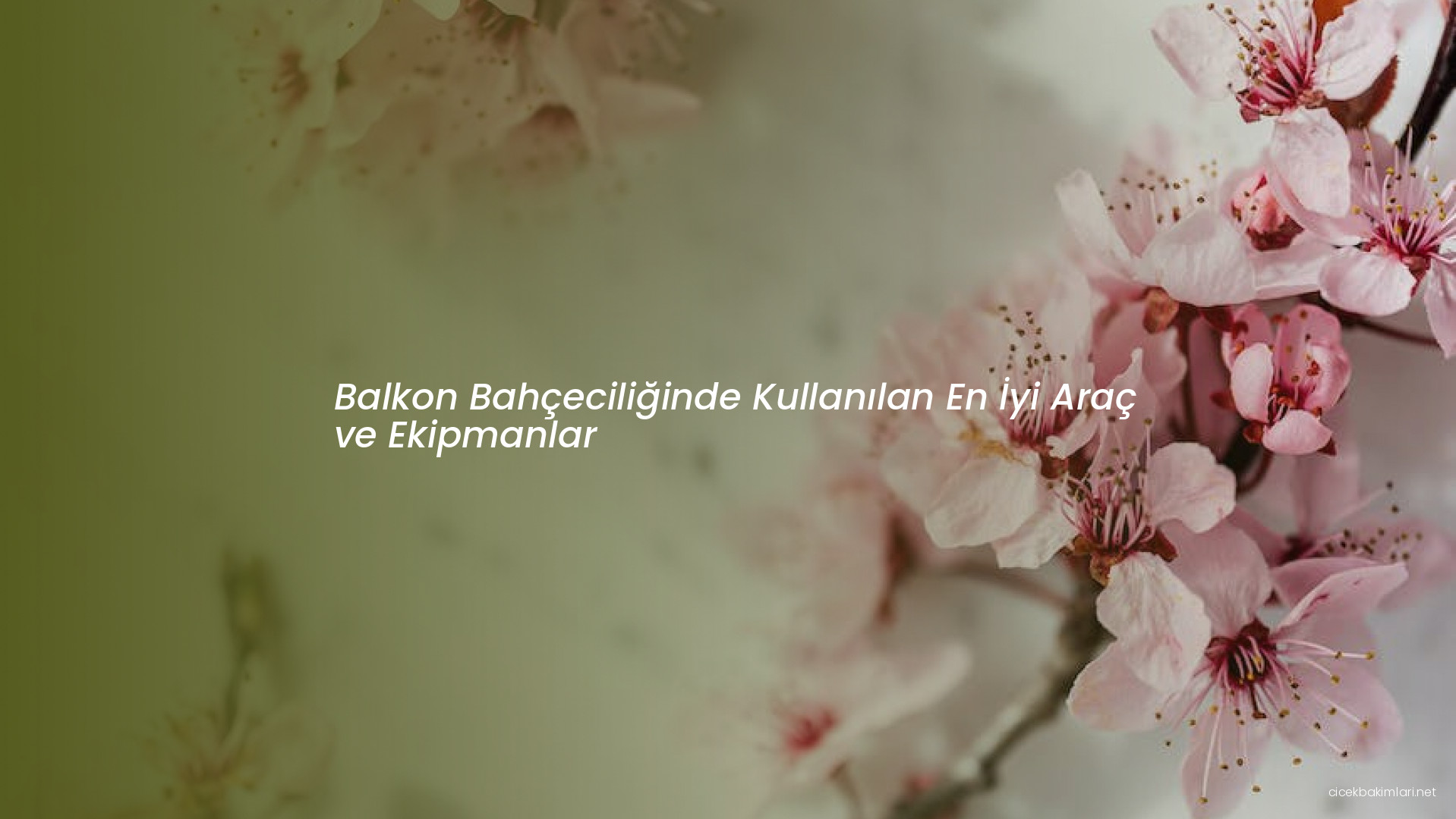 Balkon Bahçeciliğinde Kullanılan En İyi Araç ve Ekipmanlar