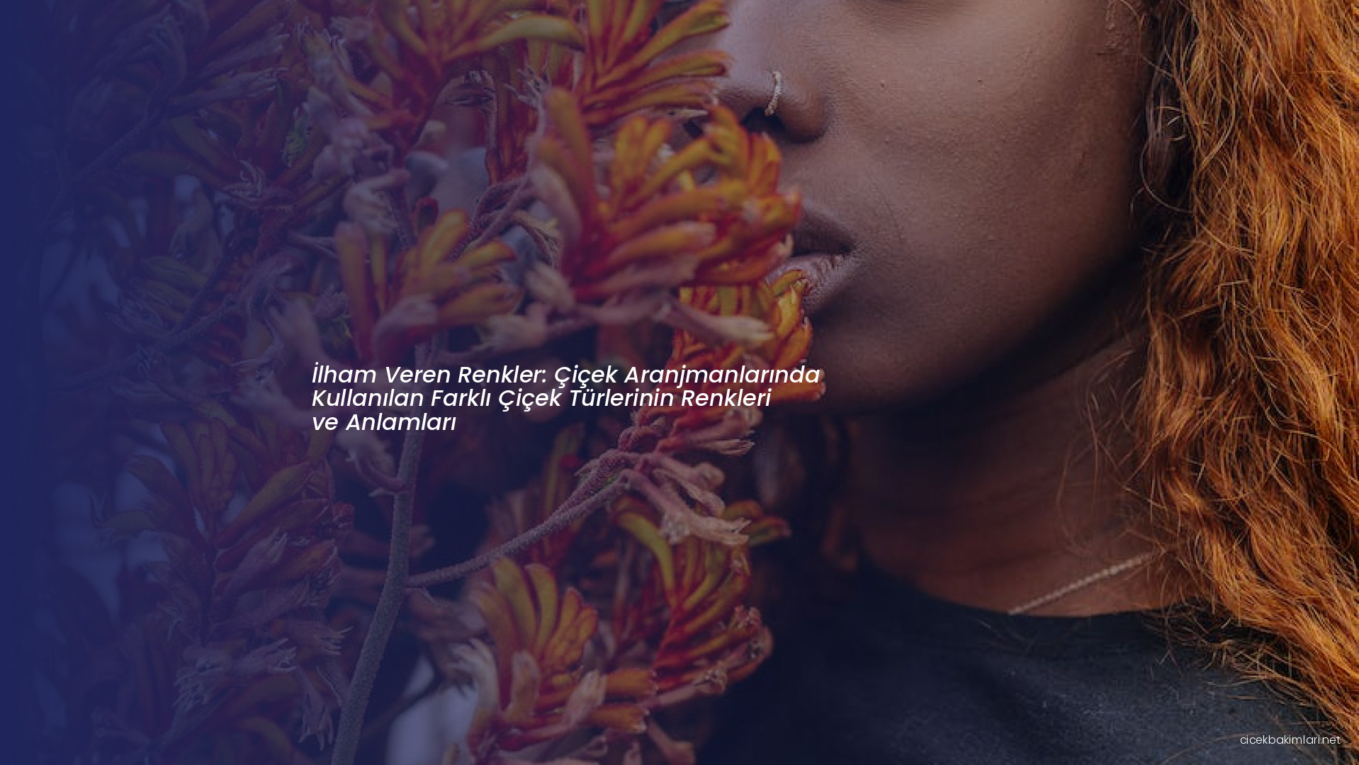 İlham Veren Renkler: Çiçek Aranjmanlarında Kullanılan Farklı Çiçek Türlerinin Renkleri ve Anlamları