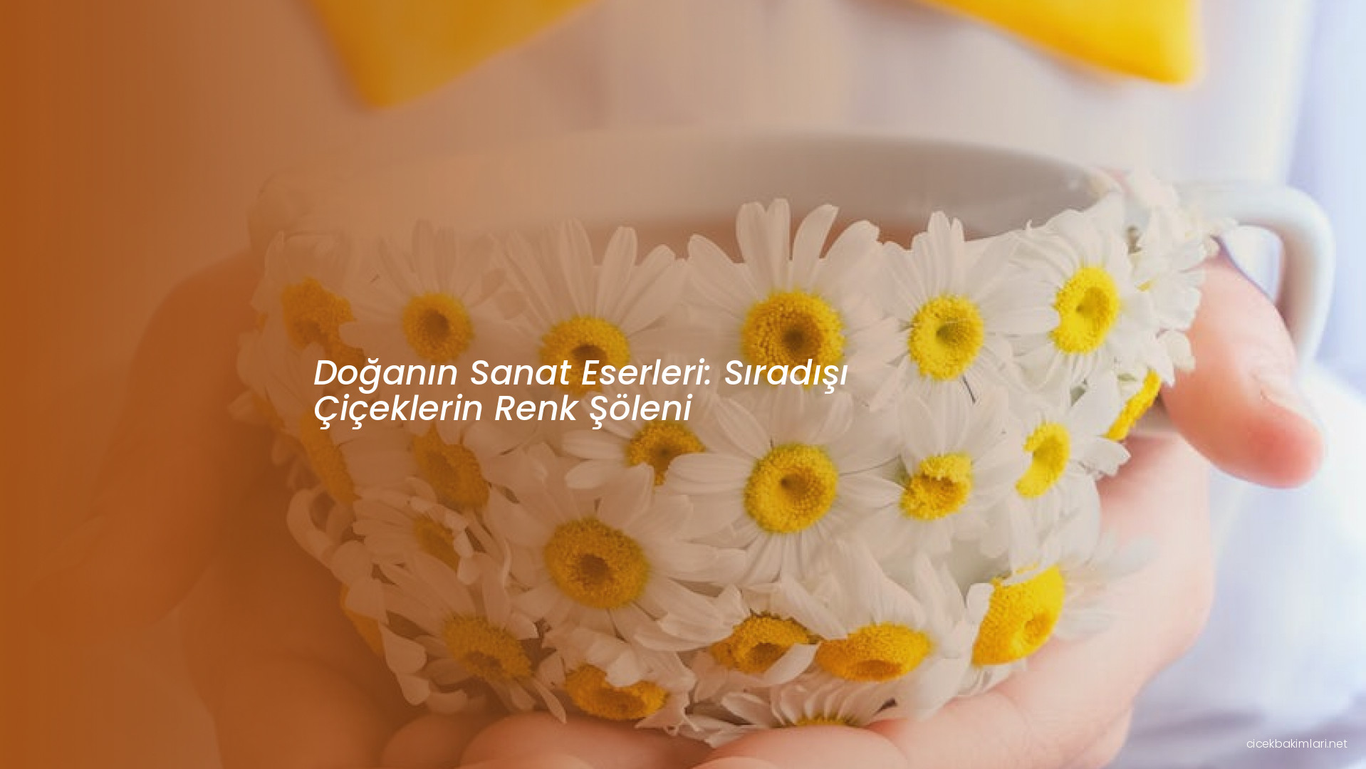 Doğanın Sanat Eserleri: Sıradışı Çiçeklerin Renk Şöleni