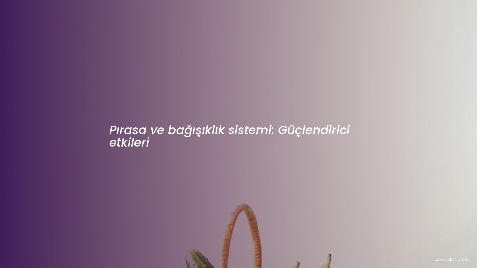 Pırasa ve bağışıklık sistemi: Güçlendirici etkileri