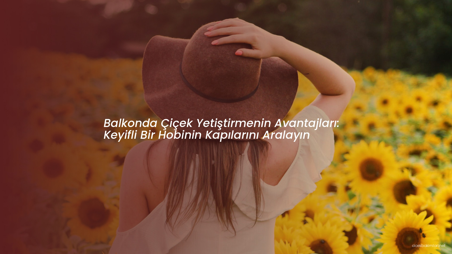 Balkonda Çiçek Yetiştirmenin Avantajları: Keyifli Bir Hobinin Kapılarını Aralayın