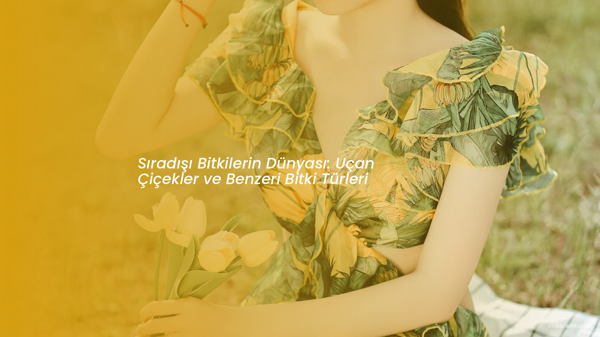 Sıradışı Bitkilerin Dünyası: Uçan Çiçekler ve Benzeri Bitki Türleri