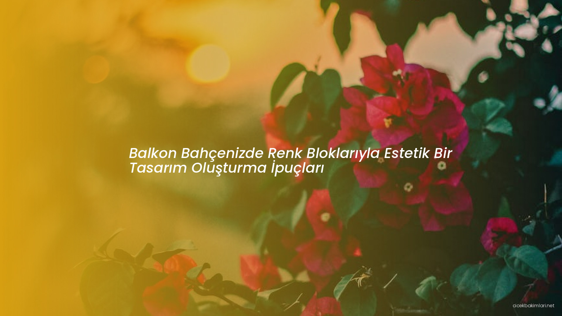 Balkon Bahçenizde Renk Bloklarıyla Estetik Bir Tasarım Oluşturma İpuçları