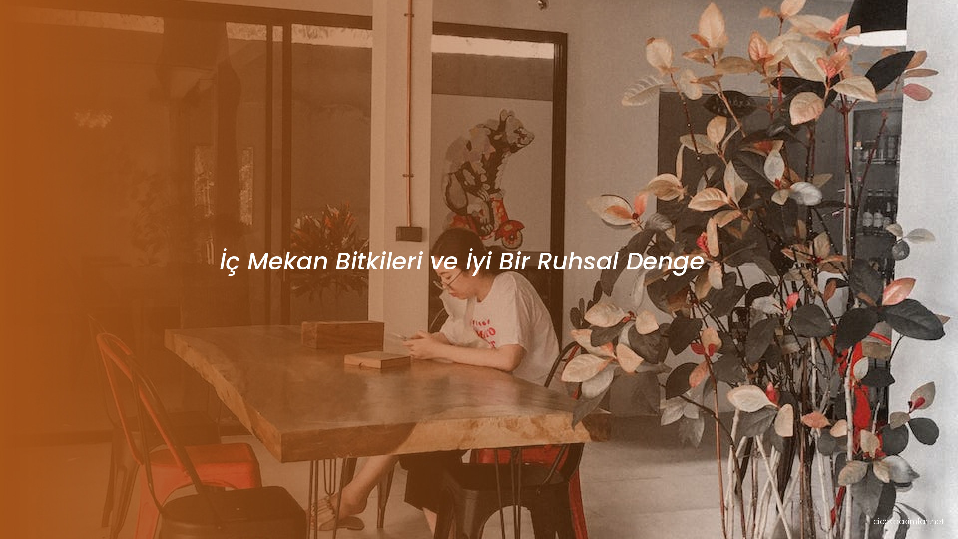 İç Mekan Bitkileri ve İyi Bir Ruhsal Denge