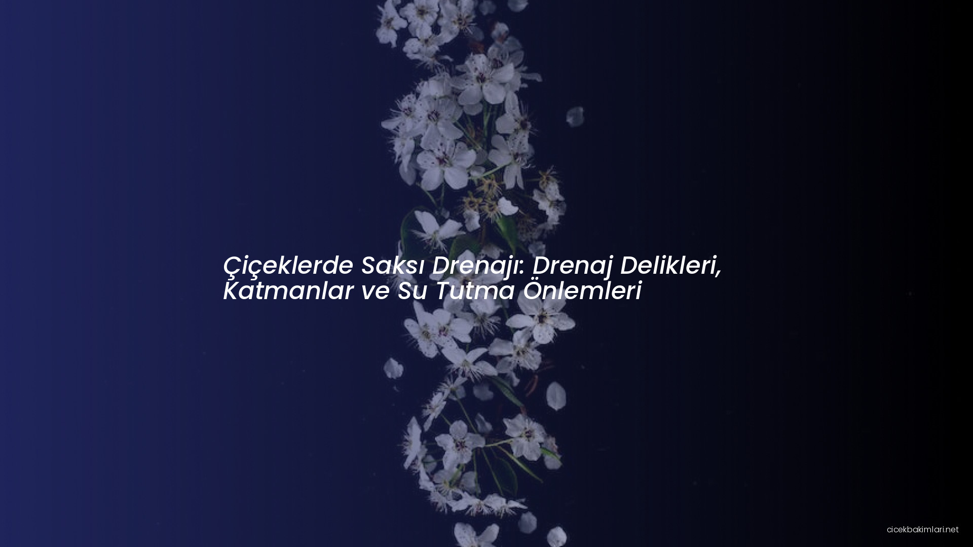 Çiçeklerde Saksı Drenajı: Drenaj Delikleri, Katmanlar ve Su Tutma Önlemleri