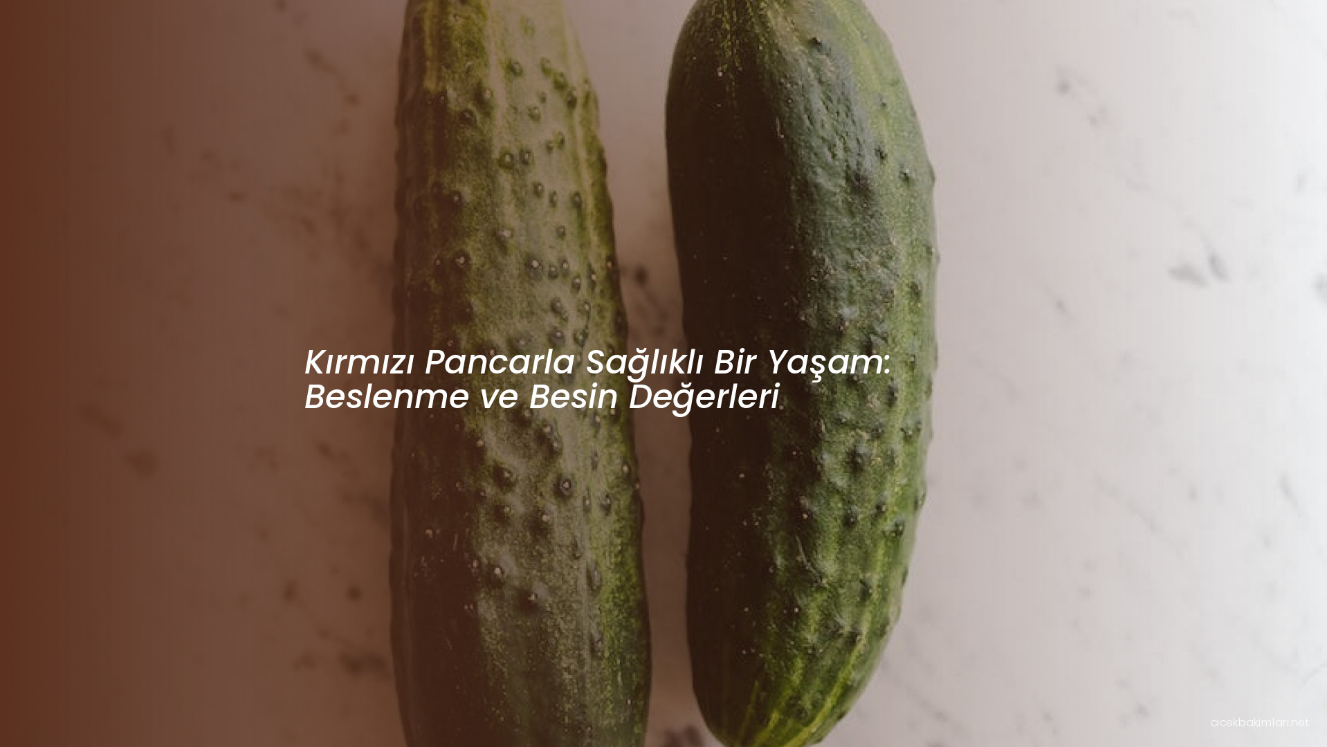 Kırmızı Pancarla Sağlıklı Bir Yaşam: Beslenme ve Besin Değerleri