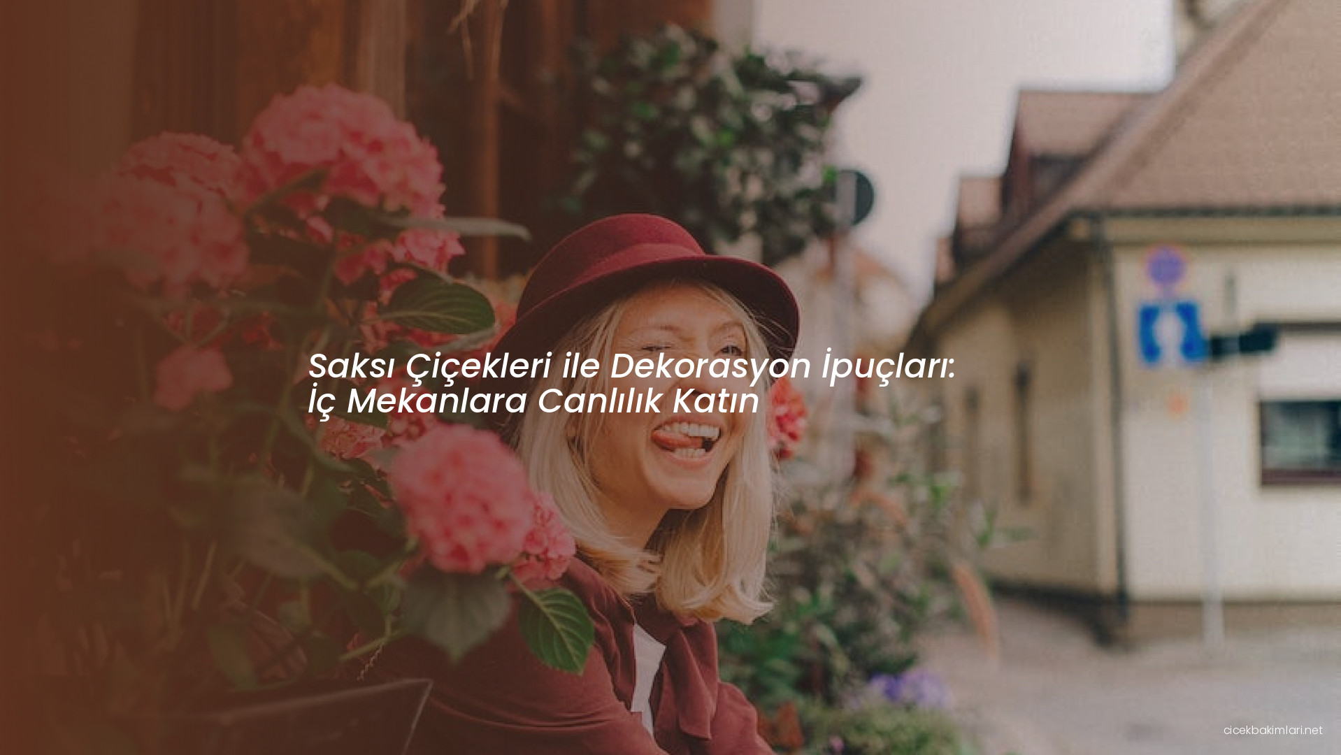 Saksı Çiçekleri ile Dekorasyon İpuçları: İç Mekanlara Canlılık Katın