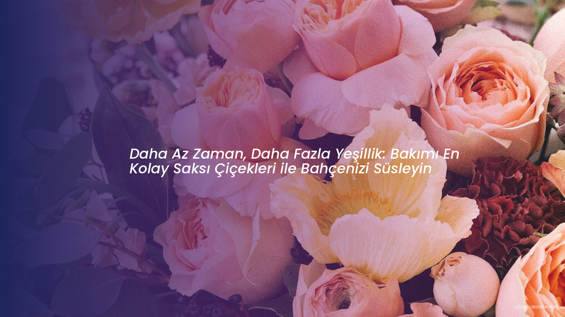 Daha Az Zaman, Daha Fazla Yeşillik: Bakımı En Kolay Saksı Çiçekleri ile Bahçenizi Süsleyin