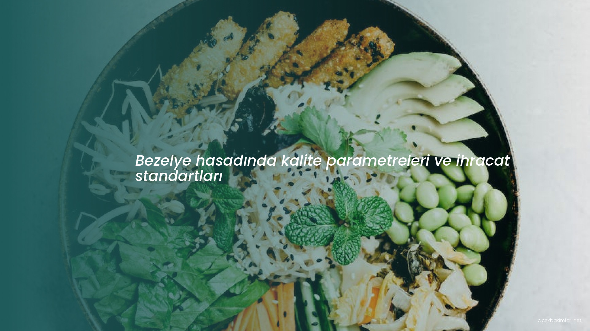Bezelye hasadında kalite parametreleri ve ihracat standartları