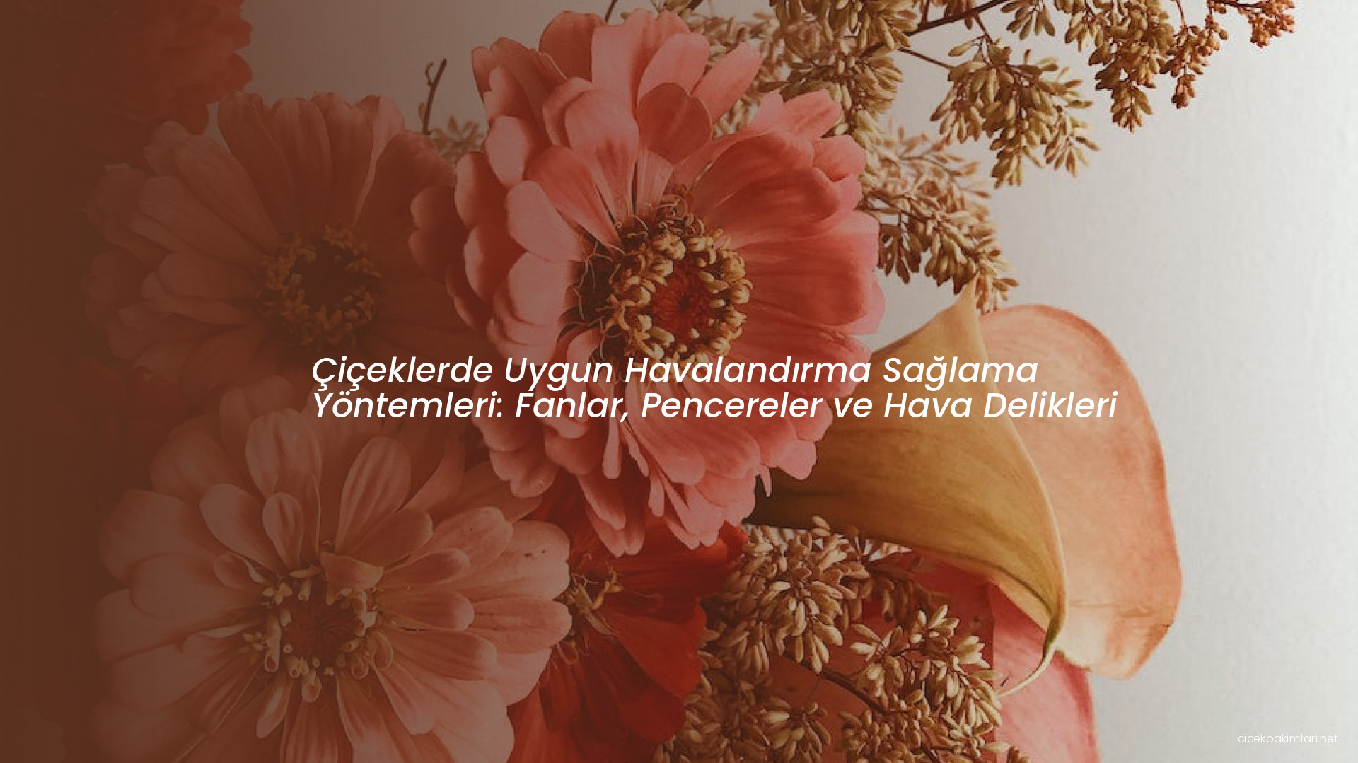 Çiçeklerde Uygun Havalandırma Sağlama Yöntemleri: Fanlar, Pencereler ve Hava Delikleri