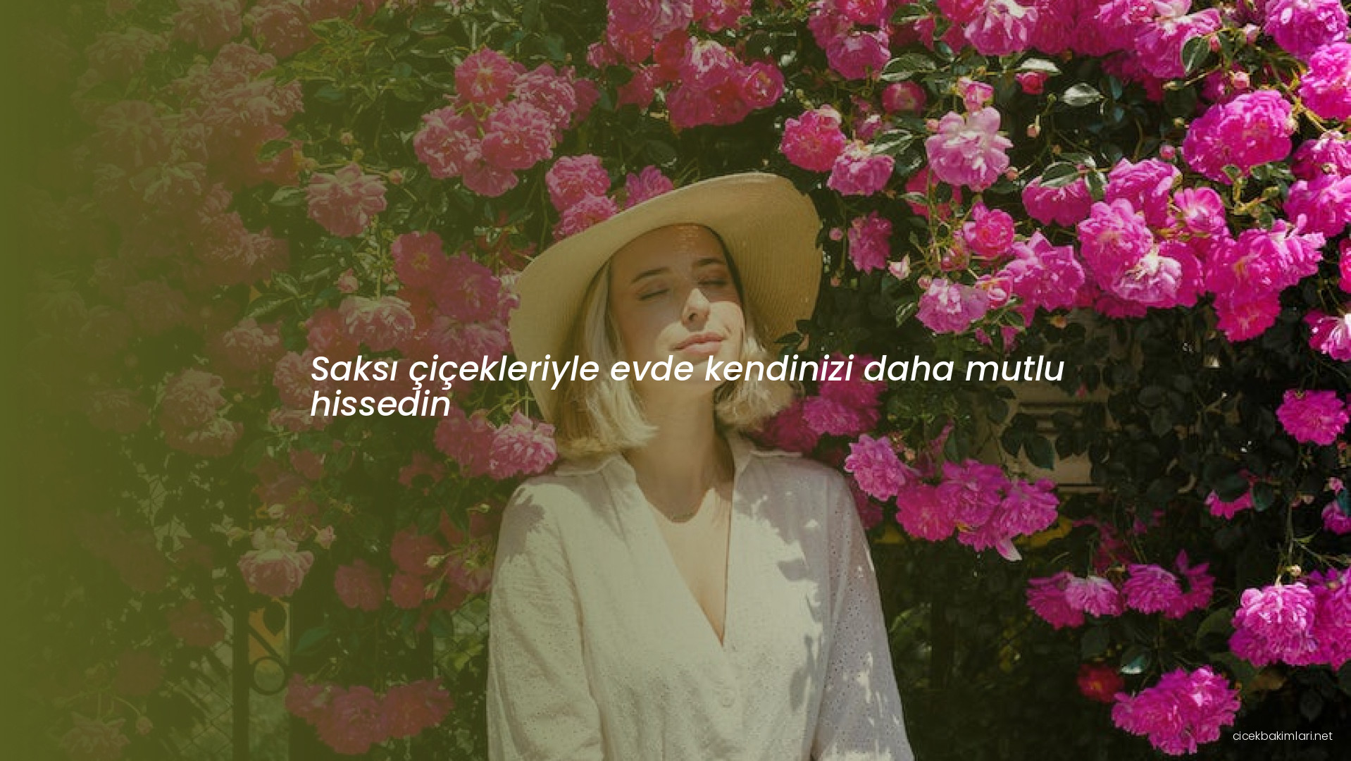 Saksı çiçekleriyle evde kendinizi daha mutlu hissedin