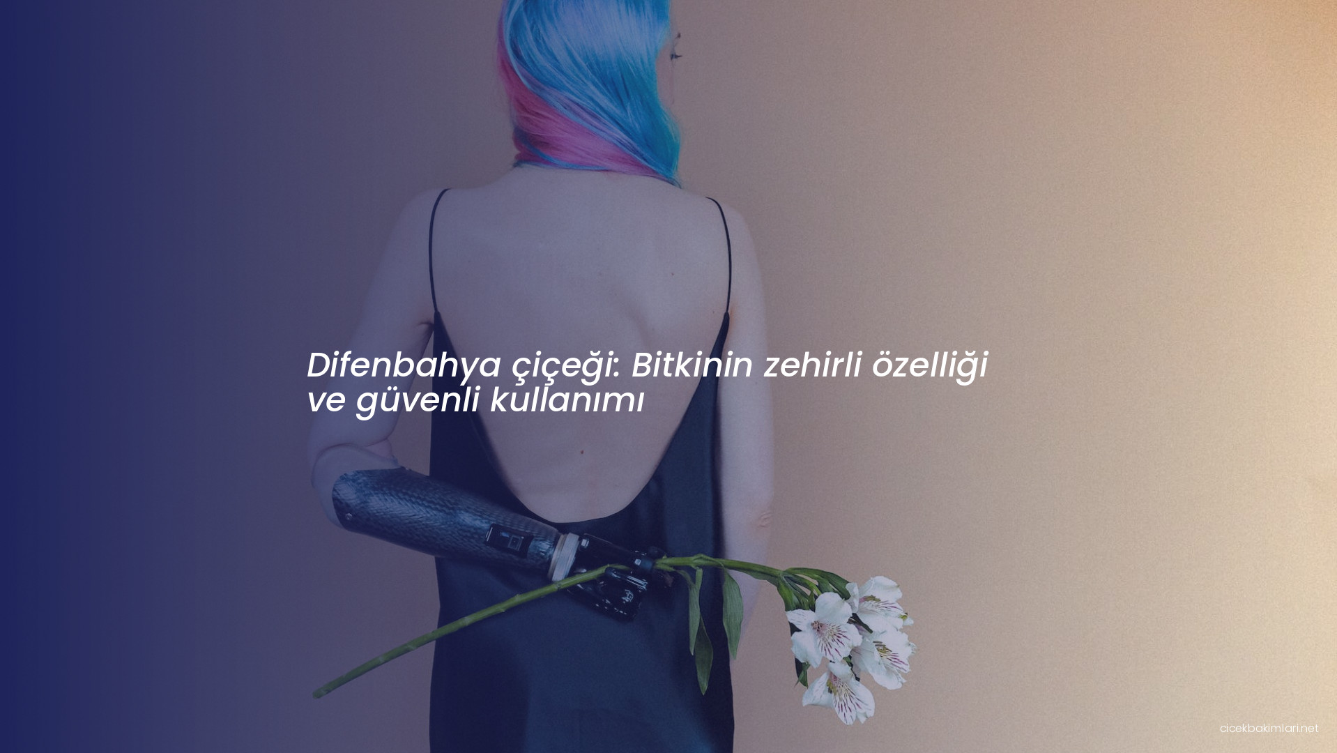 Difenbahya çiçeği: Bitkinin zehirli özelliği ve güvenli kullanımı