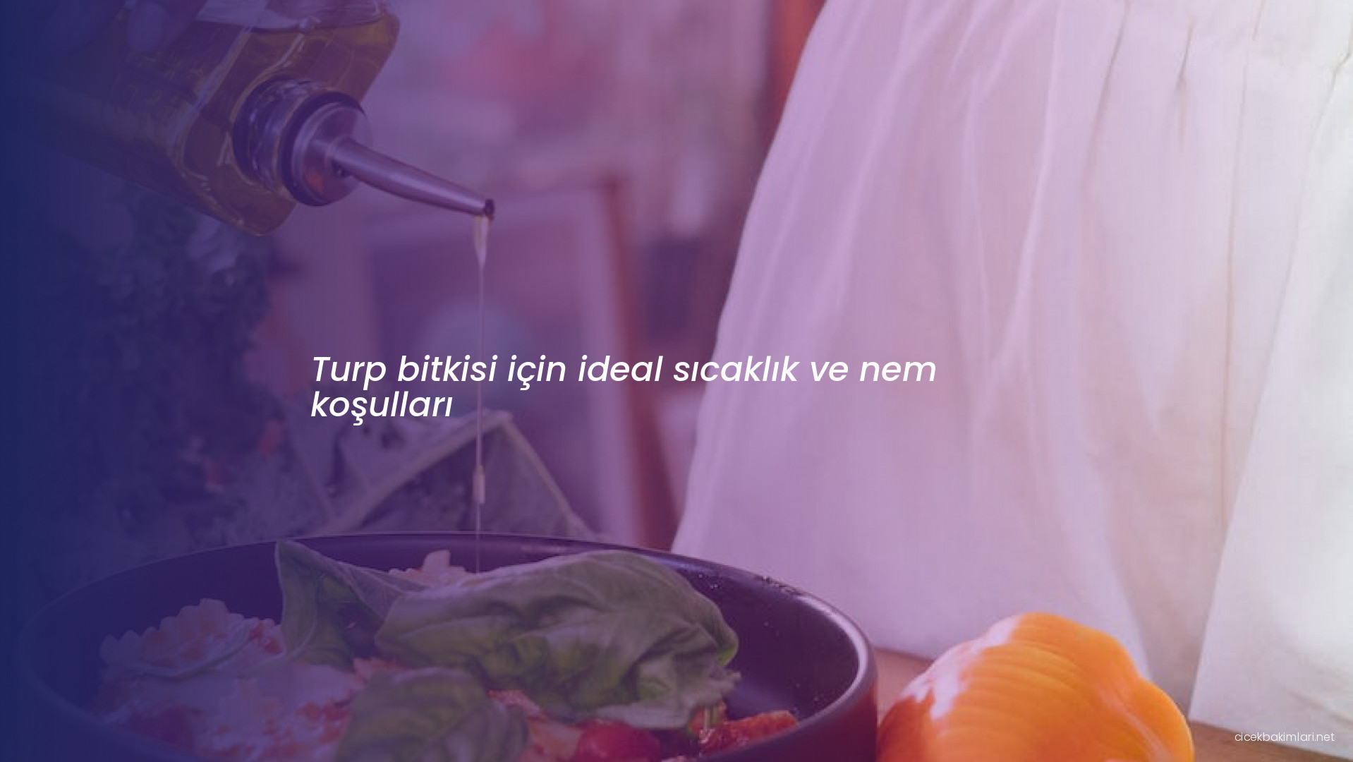 Turp bitkisi için ideal sıcaklık ve nem koşulları