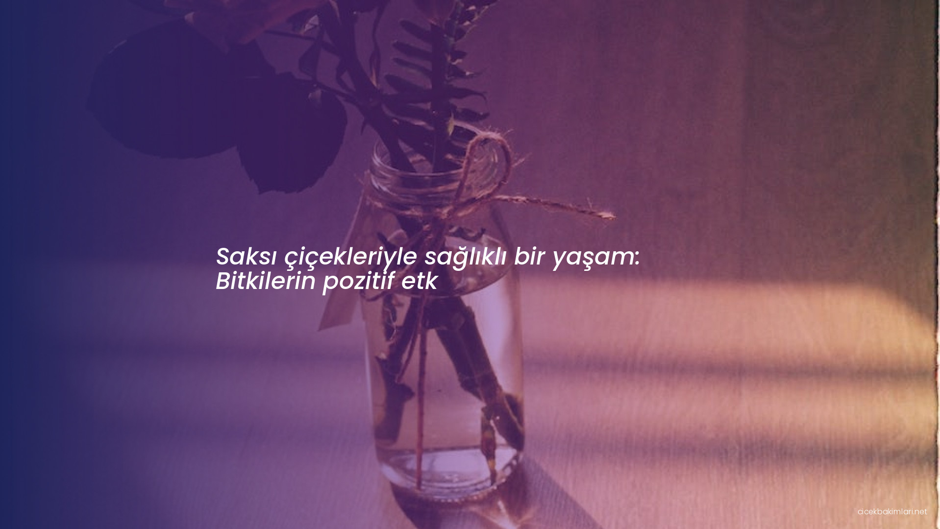 Saksı çiçekleriyle sağlıklı bir yaşam: Bitkilerin pozitif etk