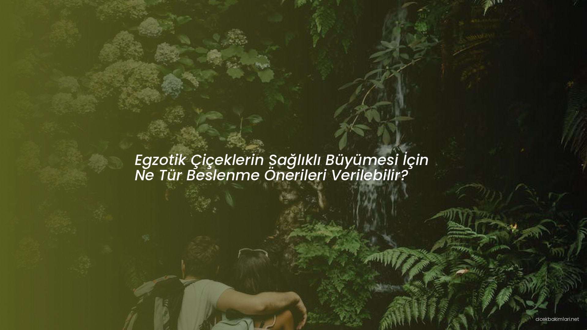 Egzotik Çiçeklerin Sağlıklı Büyümesi İçin Ne Tür Beslenme Önerileri Verilebilir?