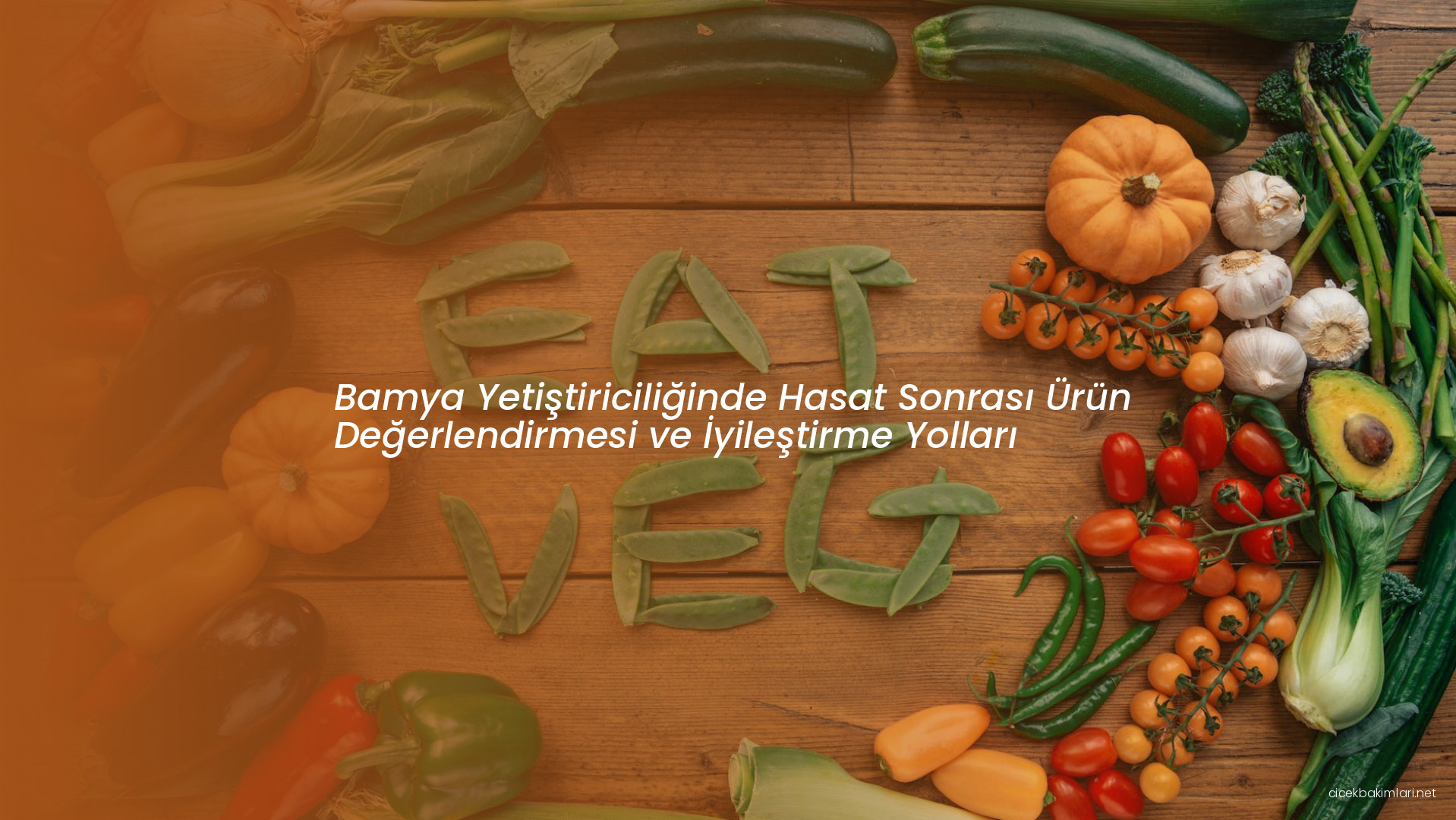 Bamya Yetiştiriciliğinde Hasat Sonrası Ürün Değerlendirmesi ve İyileştirme Yolları
