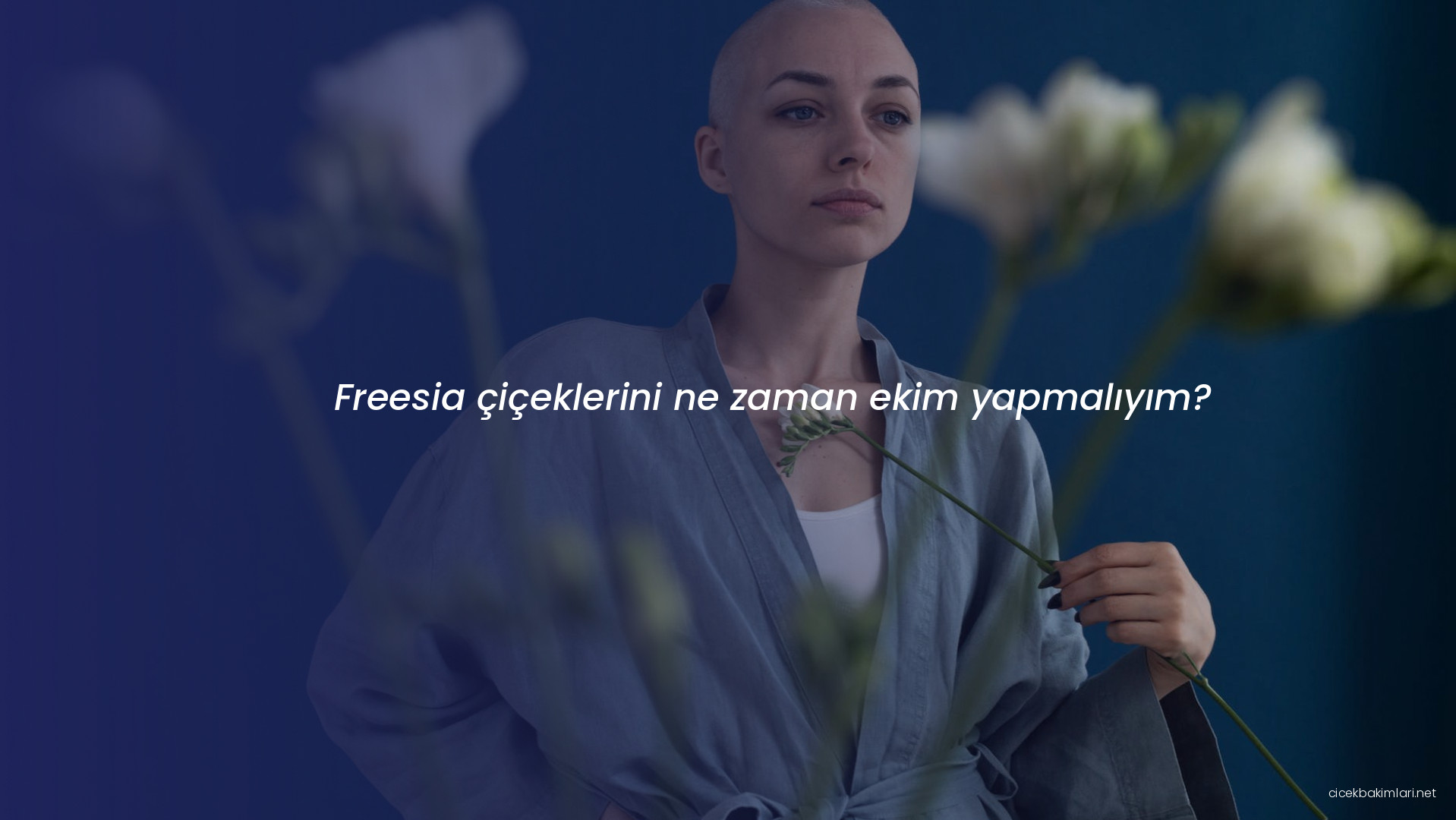 Freesia çiçeklerini ne zaman ekim yapmalıyım?