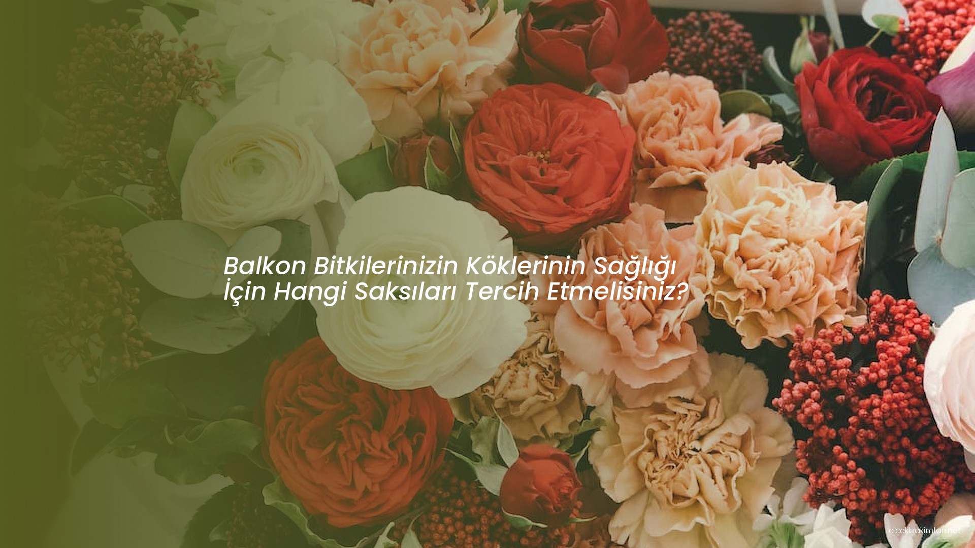 Balkon Bitkilerinizin Köklerinin Sağlığı İçin Hangi Saksıları Tercih Etmelisiniz?