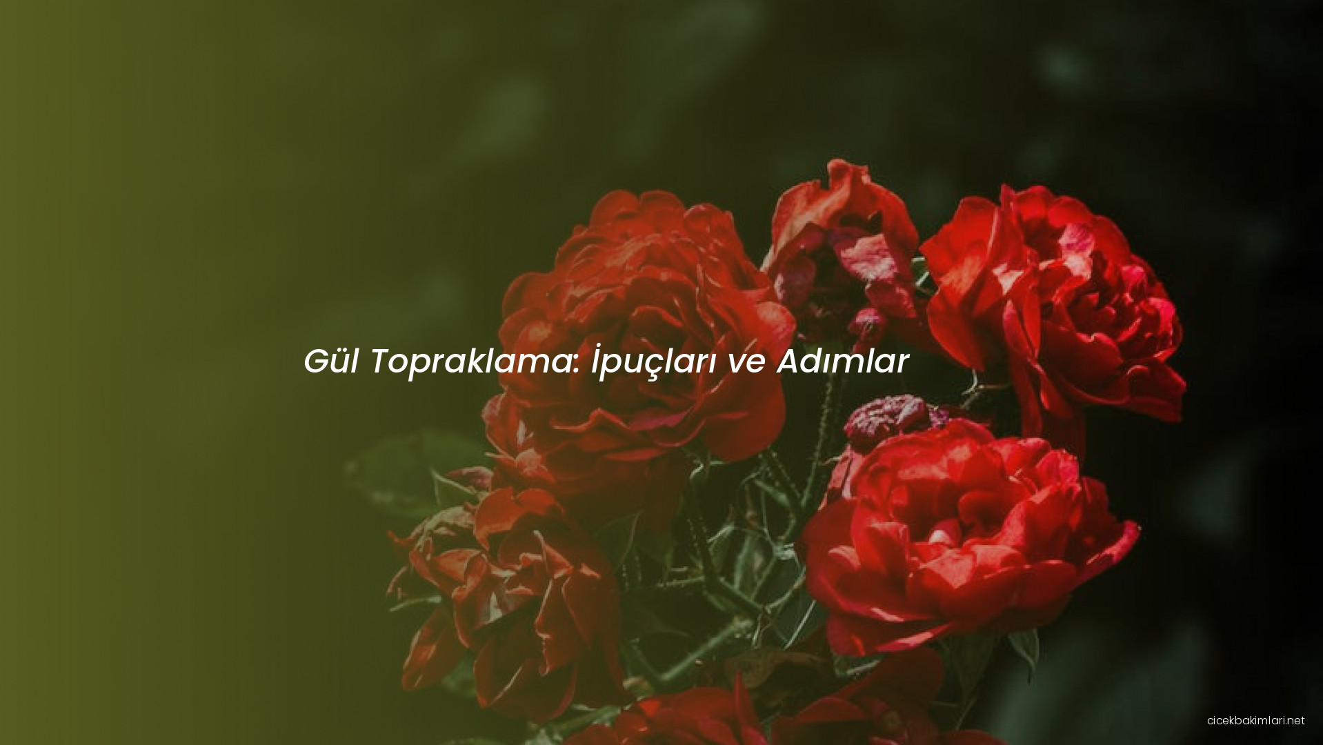 Gül Topraklama: İpuçları ve Adımlar