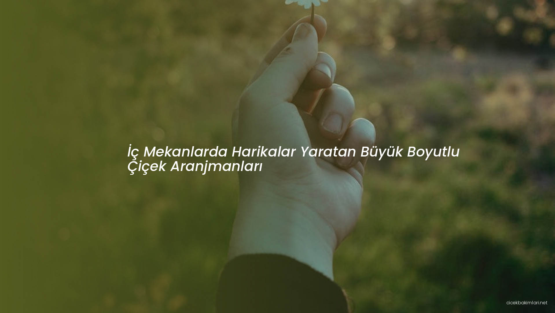 İç Mekanlarda Harikalar Yaratan Büyük Boyutlu Çiçek Aranjmanları