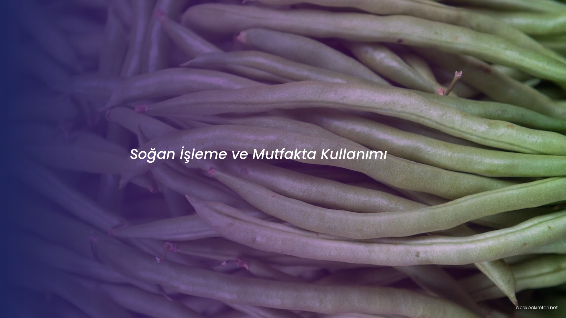 Soğan İşleme ve Mutfakta Kullanımı