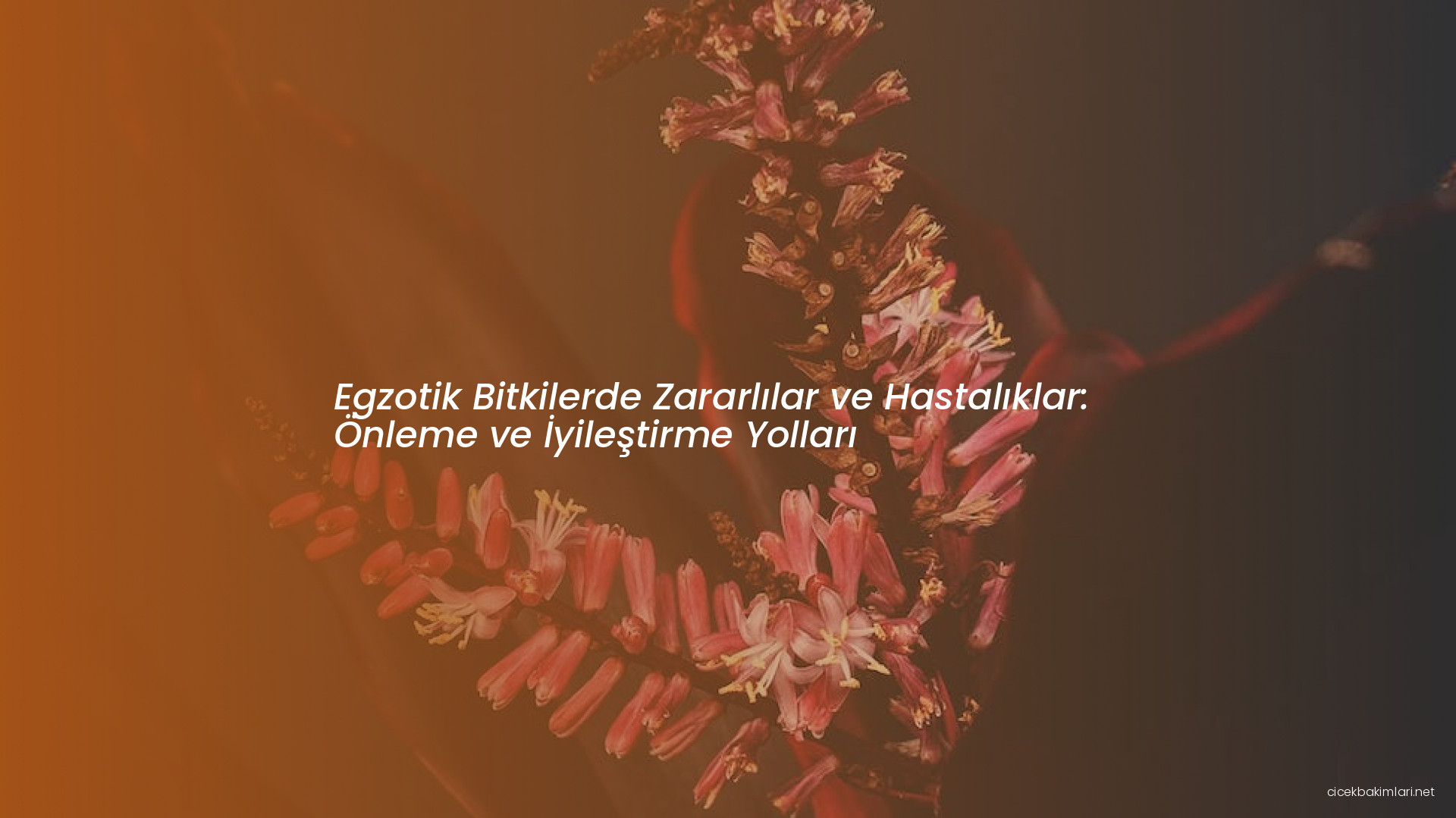 Egzotik Bitkilerde Zararlılar ve Hastalıklar: Önleme ve İyileştirme Yolları