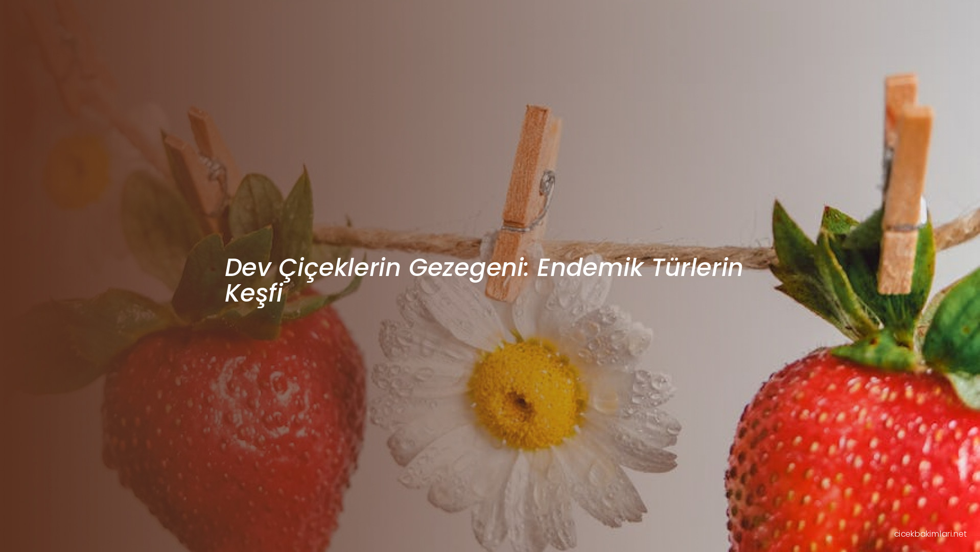 Dev Çiçeklerin Gezegeni: Endemik Türlerin Keşfi