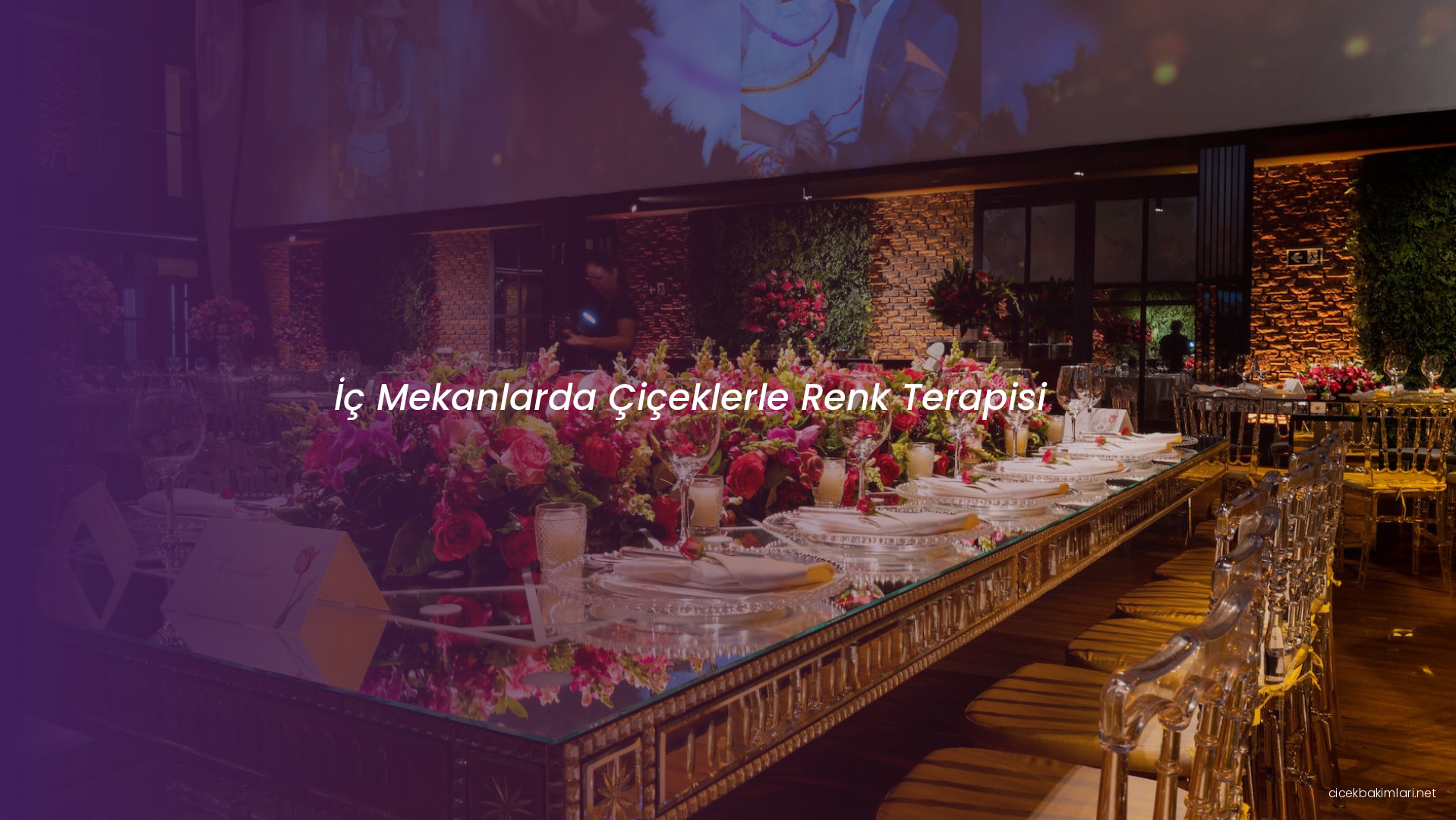 İç Mekanlarda Çiçeklerle Renk Terapisi