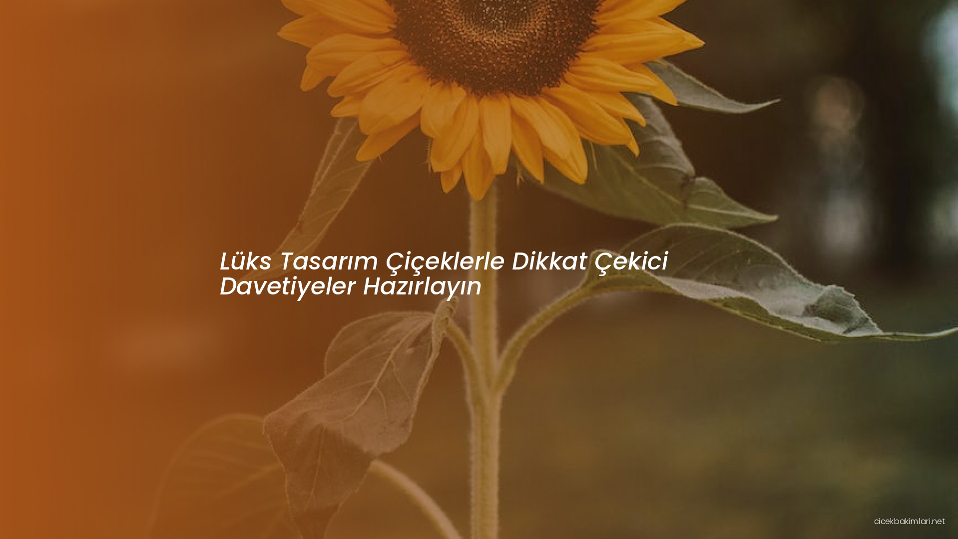 Lüks Tasarım Çiçeklerle Dikkat Çekici Davetiyeler Hazırlayın