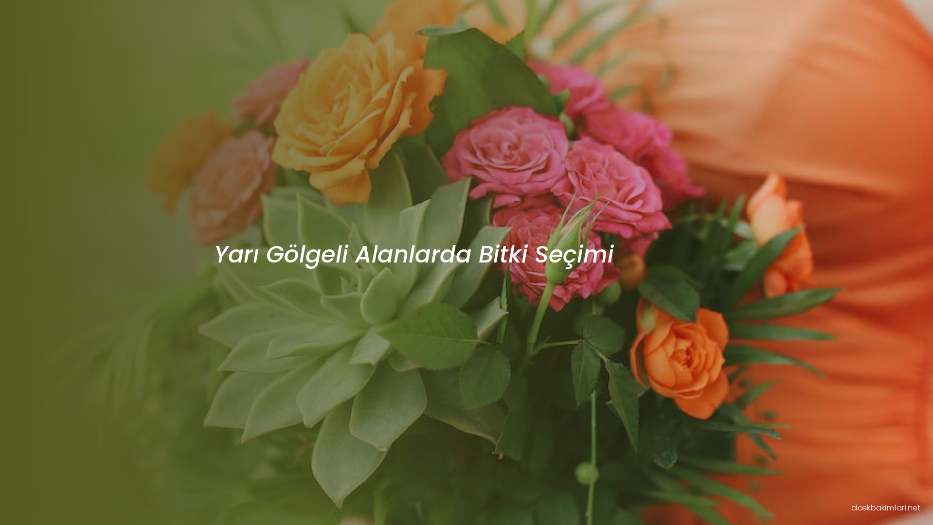 Yarı Gölgeli Alanlarda Bitki Seçimi