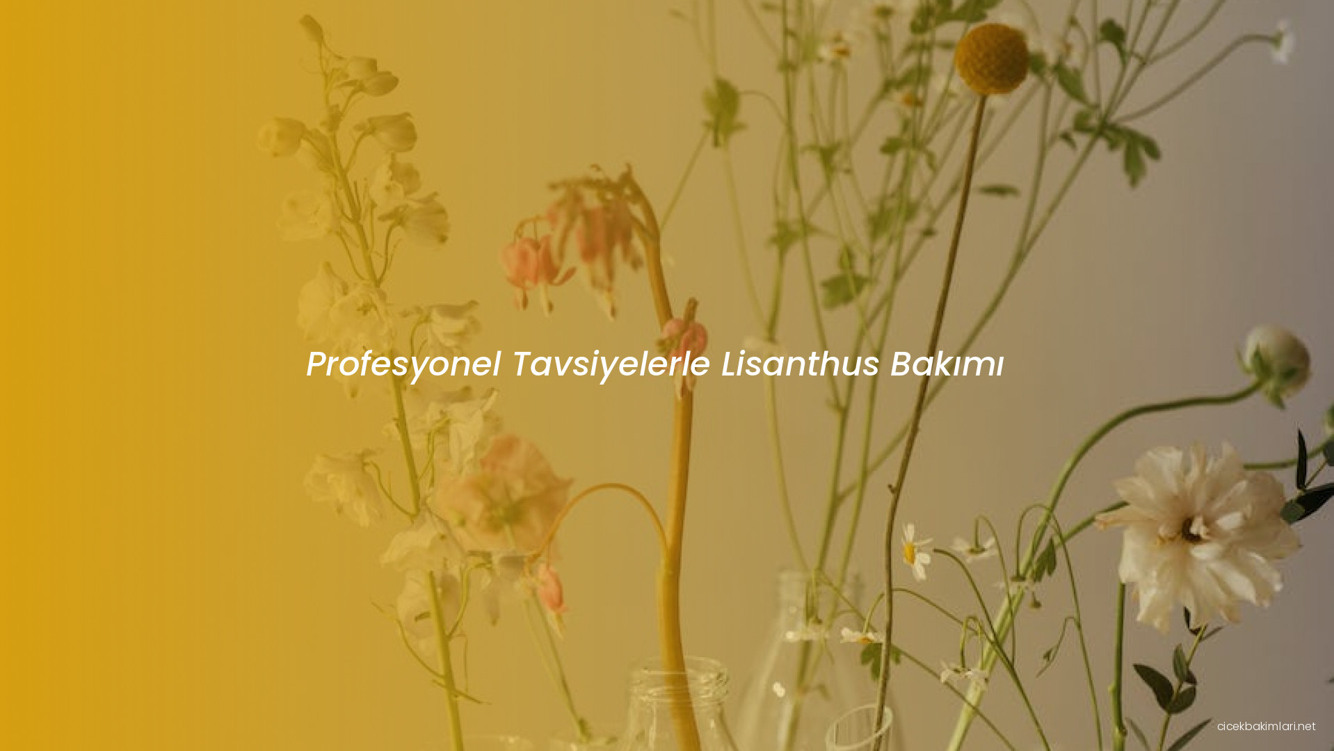 Profesyonel Tavsiyelerle Lisanthus Bakımı