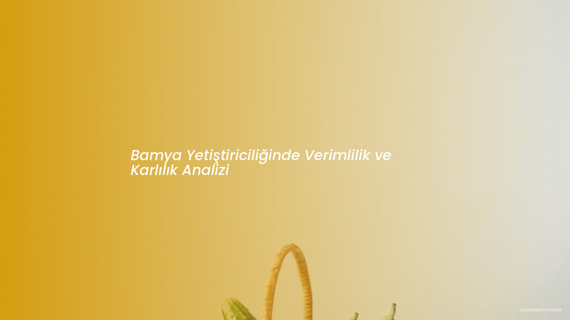 Bamya Yetiştiriciliğinde Verimlilik ve Karlılık Analizi
