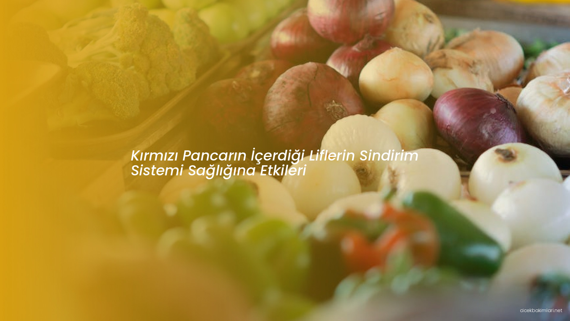 Kırmızı Pancarın İçerdiği Liflerin Sindirim Sistemi Sağlığına Etkileri