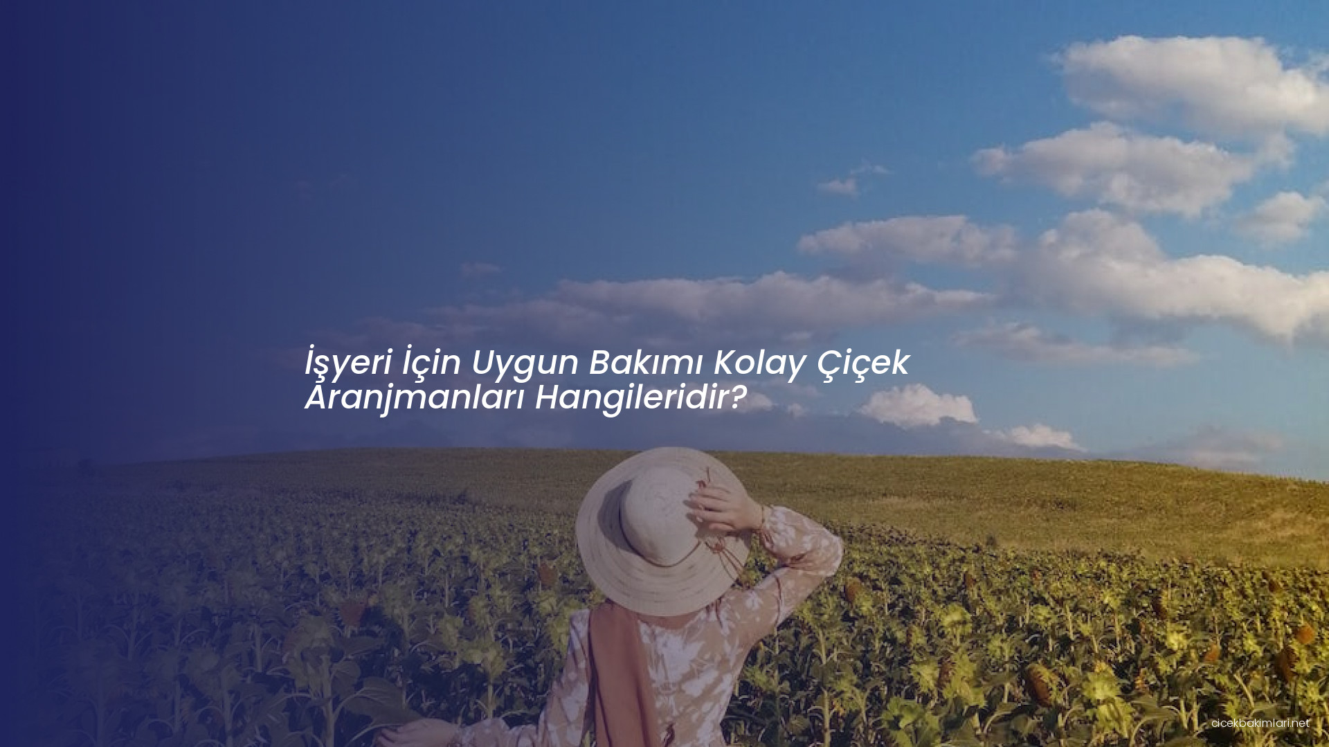 İşyeri İçin Uygun Bakımı Kolay Çiçek Aranjmanları Hangileridir?