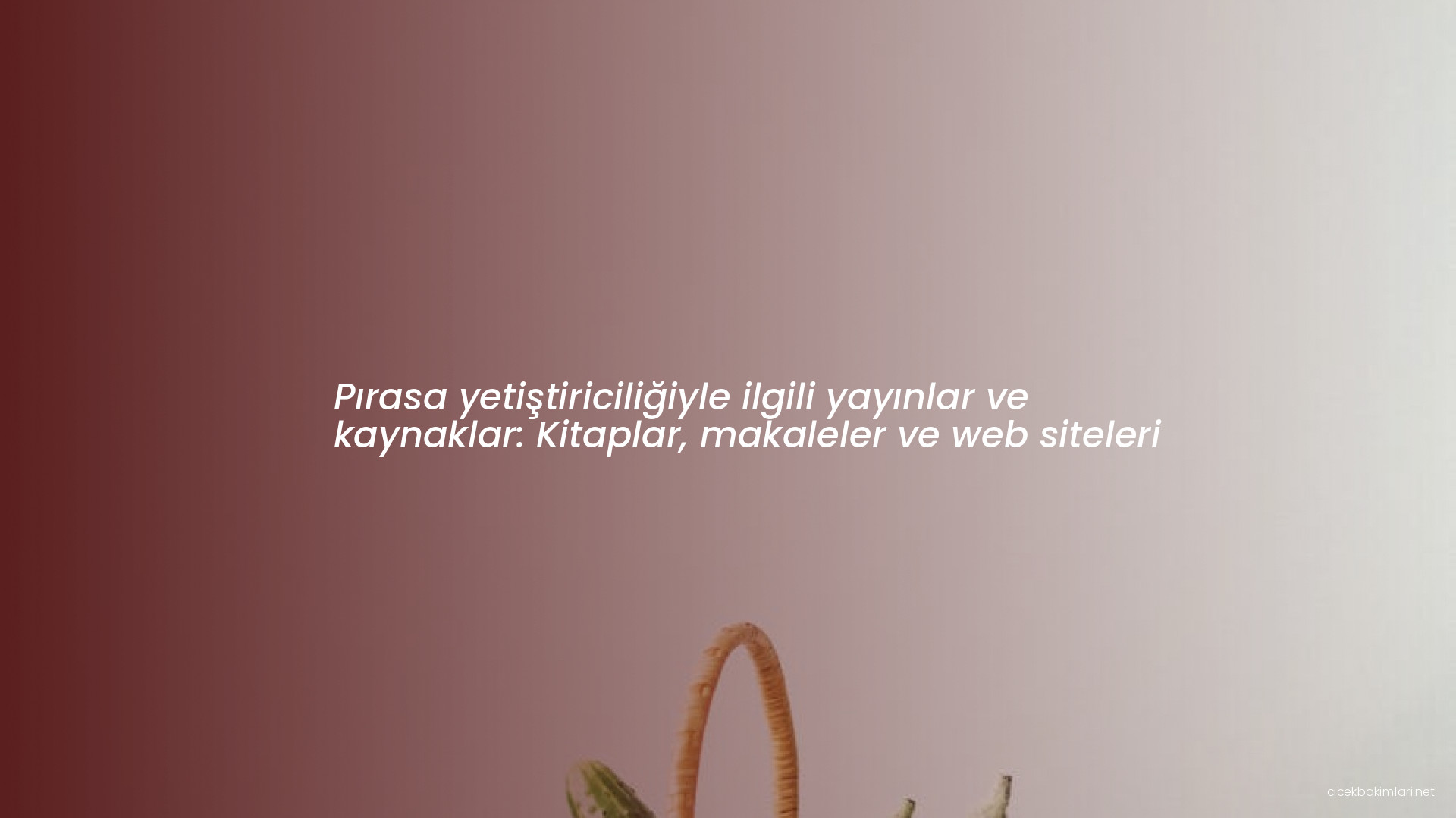 Pırasa yetiştiriciliğiyle ilgili yayınlar ve kaynaklar: Kitaplar, makaleler ve web siteleri