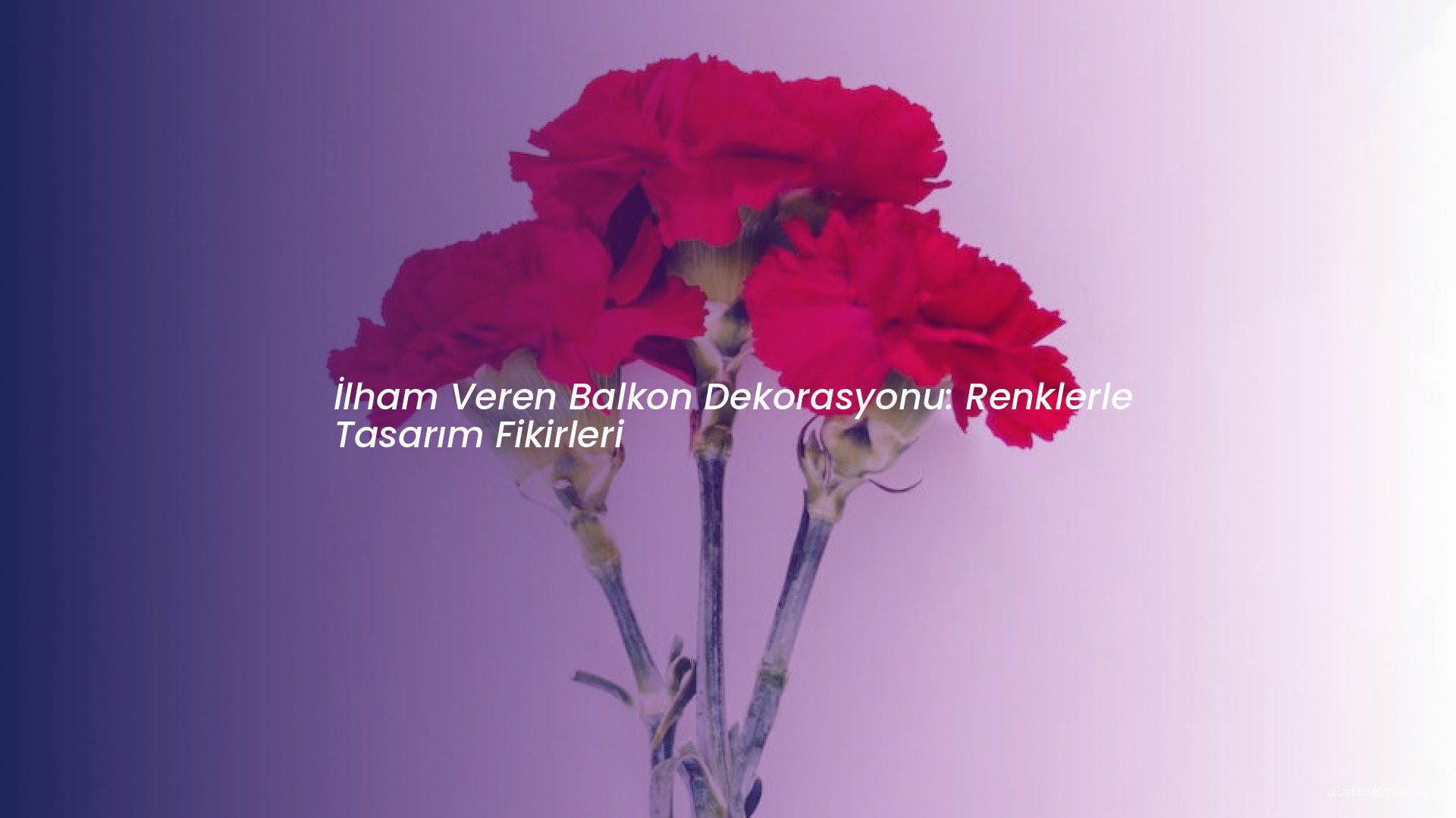 İlham Veren Balkon Dekorasyonu: Renklerle Tasarım Fikirleri