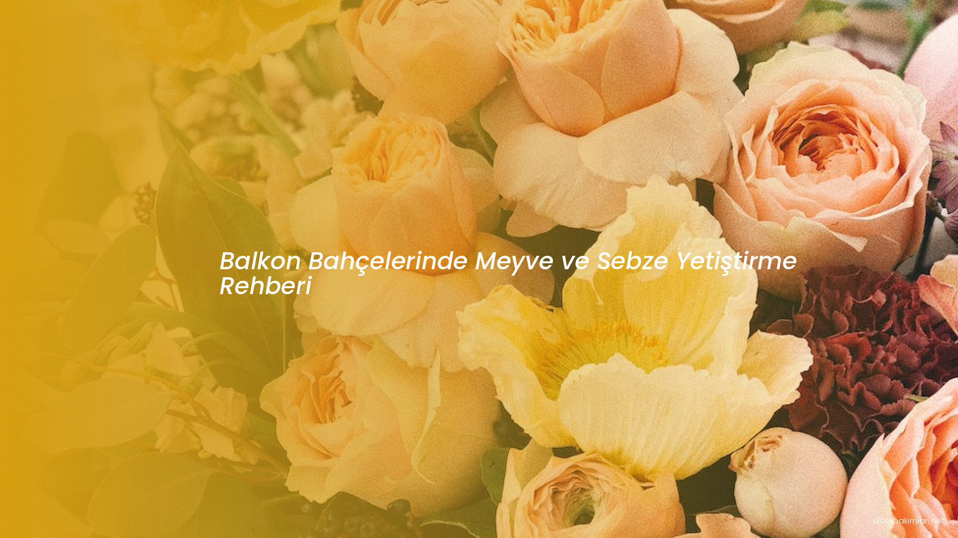Balkon Bahçelerinde Meyve ve Sebze Yetiştirme Rehberi