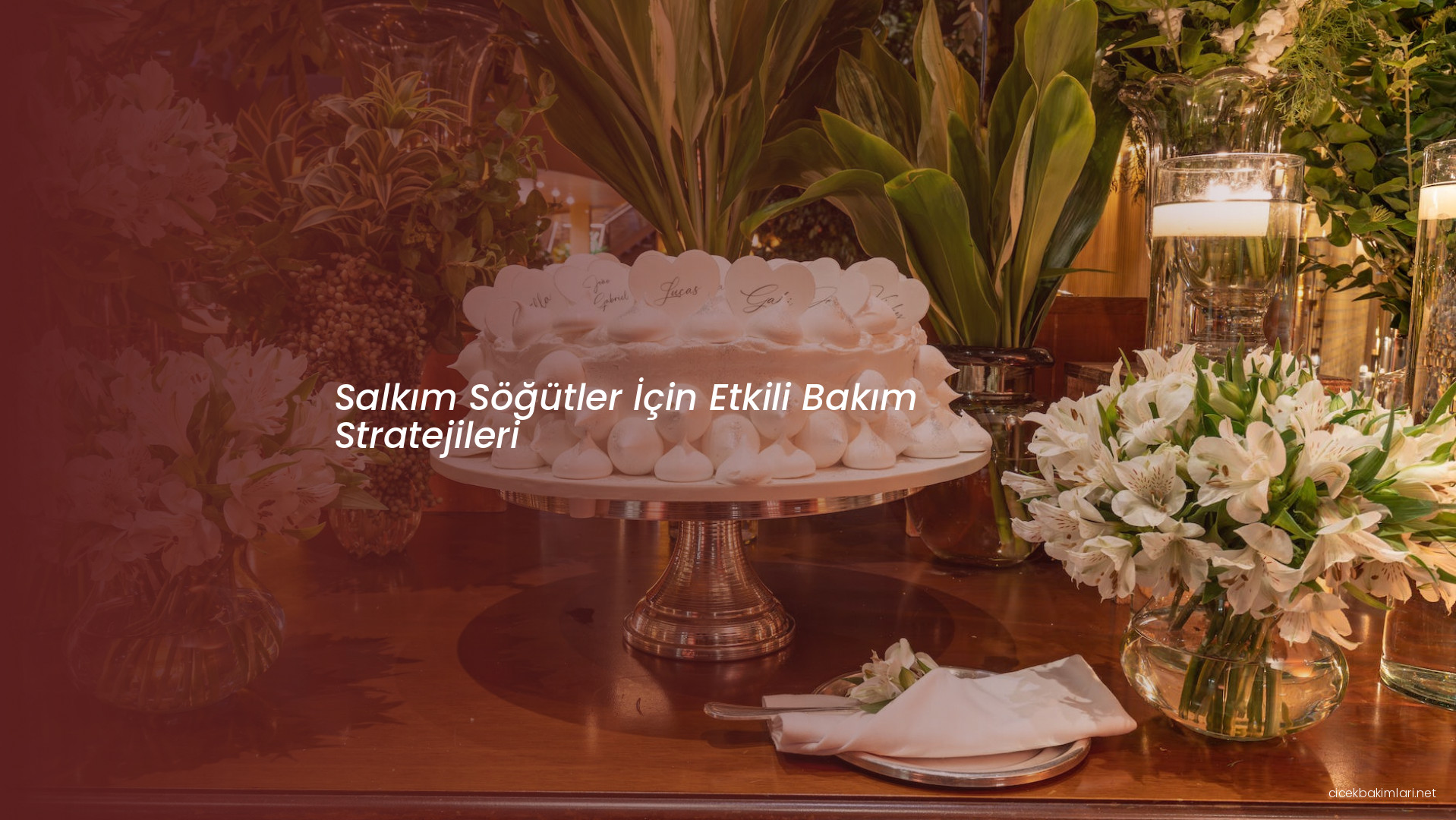 Salkım Söğütler İçin Etkili Bakım Stratejileri