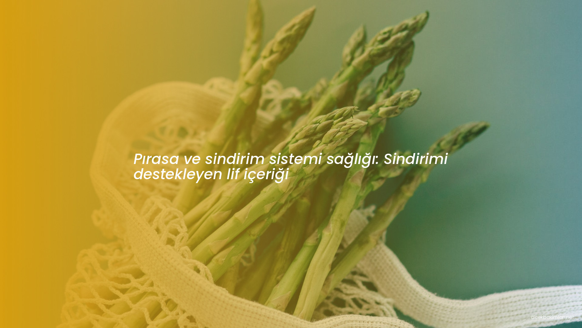 Pırasa ve sindirim sistemi sağlığı: Sindirimi destekleyen lif içeriği