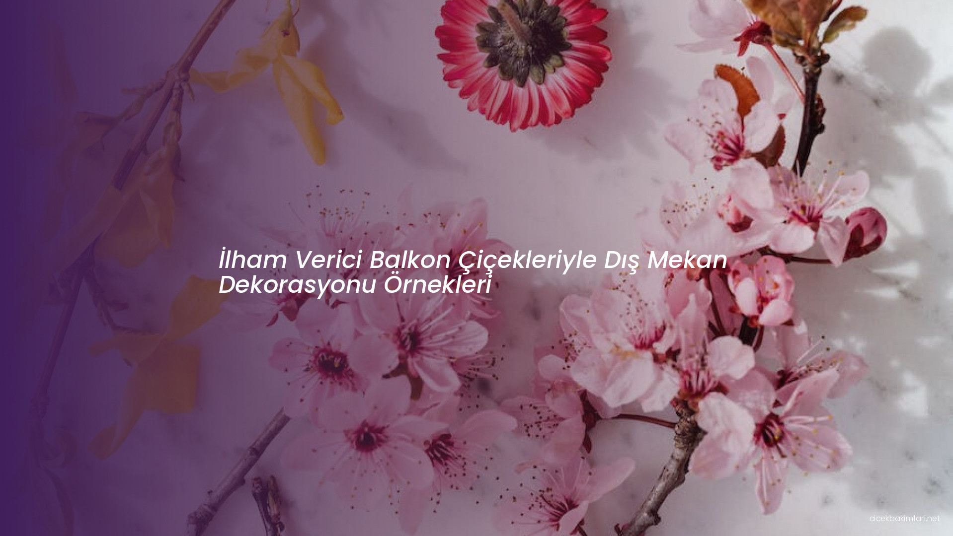 İlham Verici Balkon Çiçekleriyle Dış Mekan Dekorasyonu Örnekleri